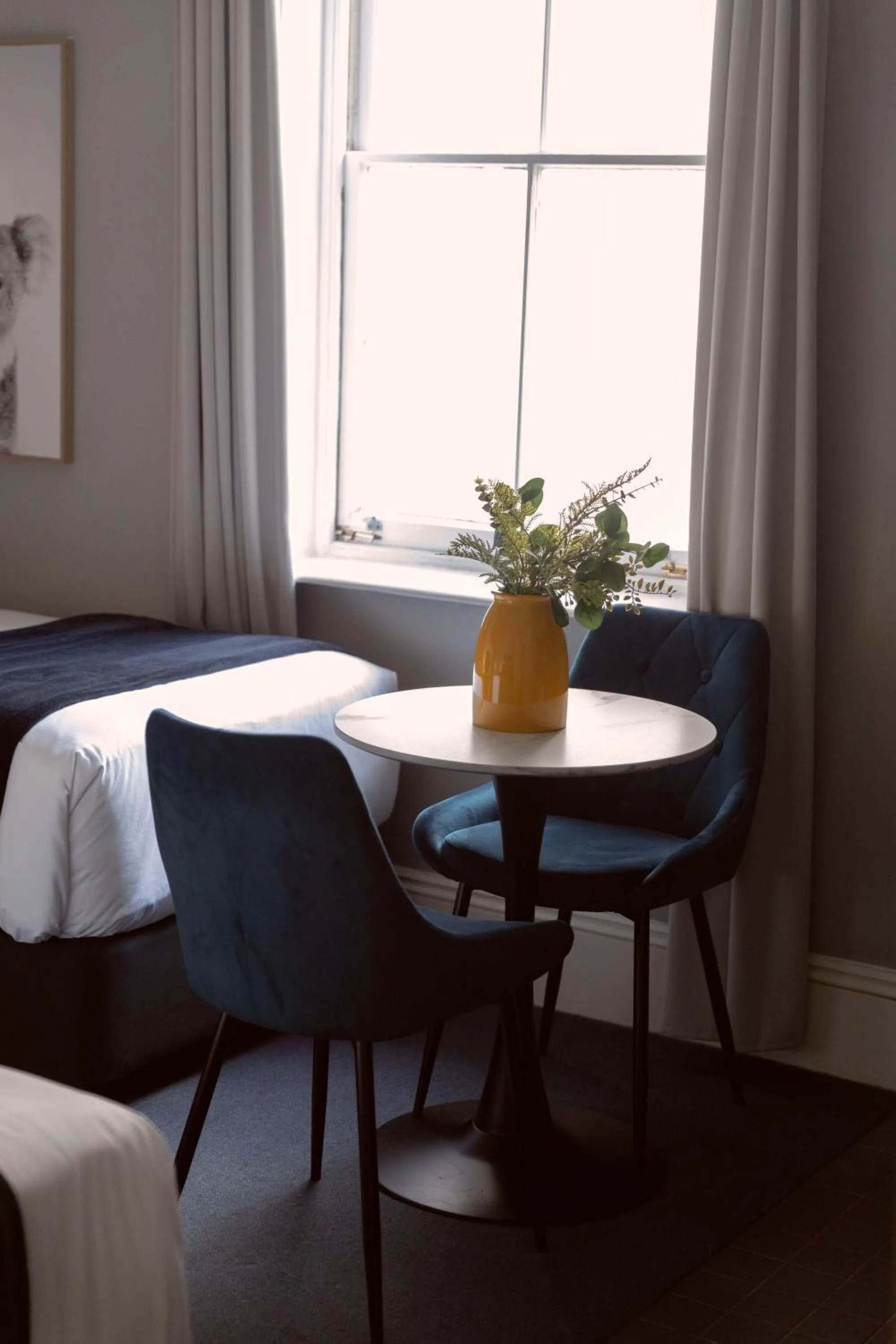 Bayswater Boutique Lodge - Potts Point