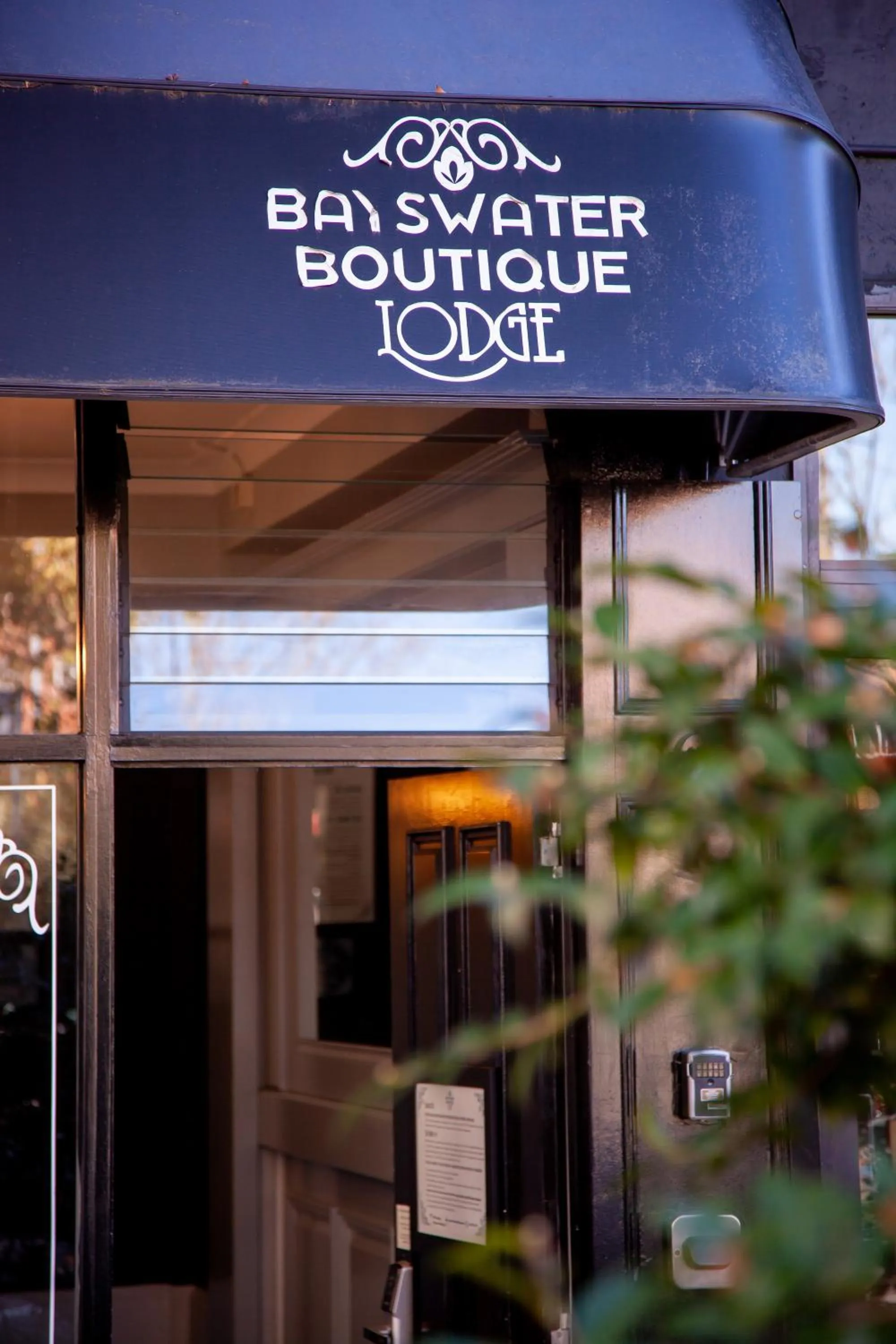 Bayswater Boutique Lodge - Potts Point