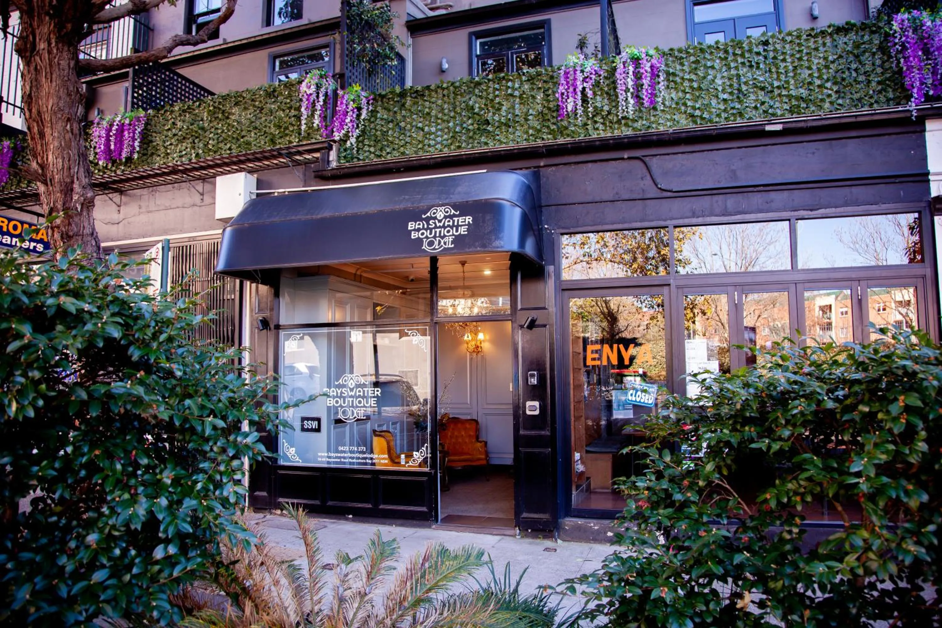 Bayswater Boutique Lodge - Potts Point