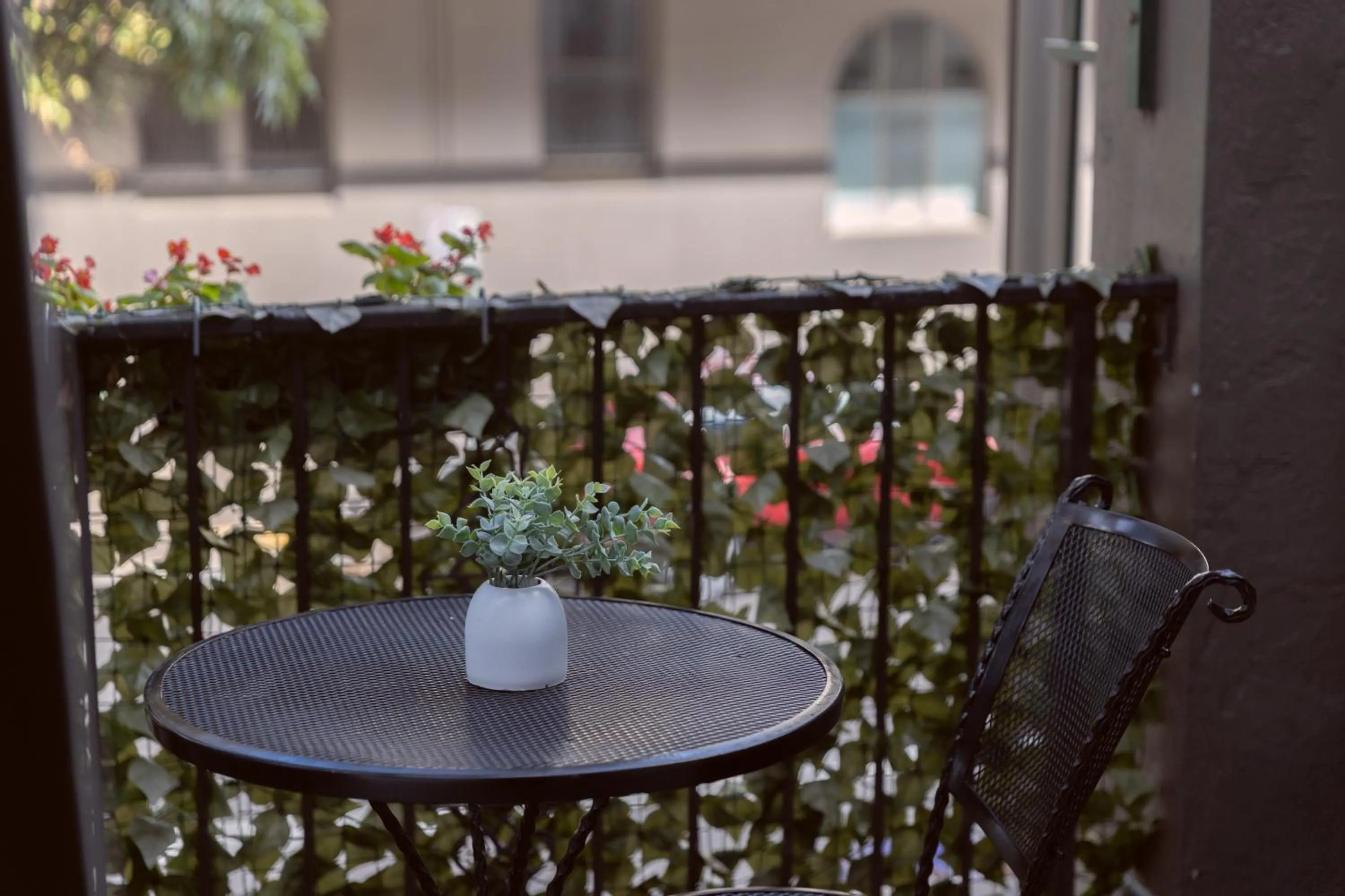 Bayswater Boutique Lodge - Potts Point