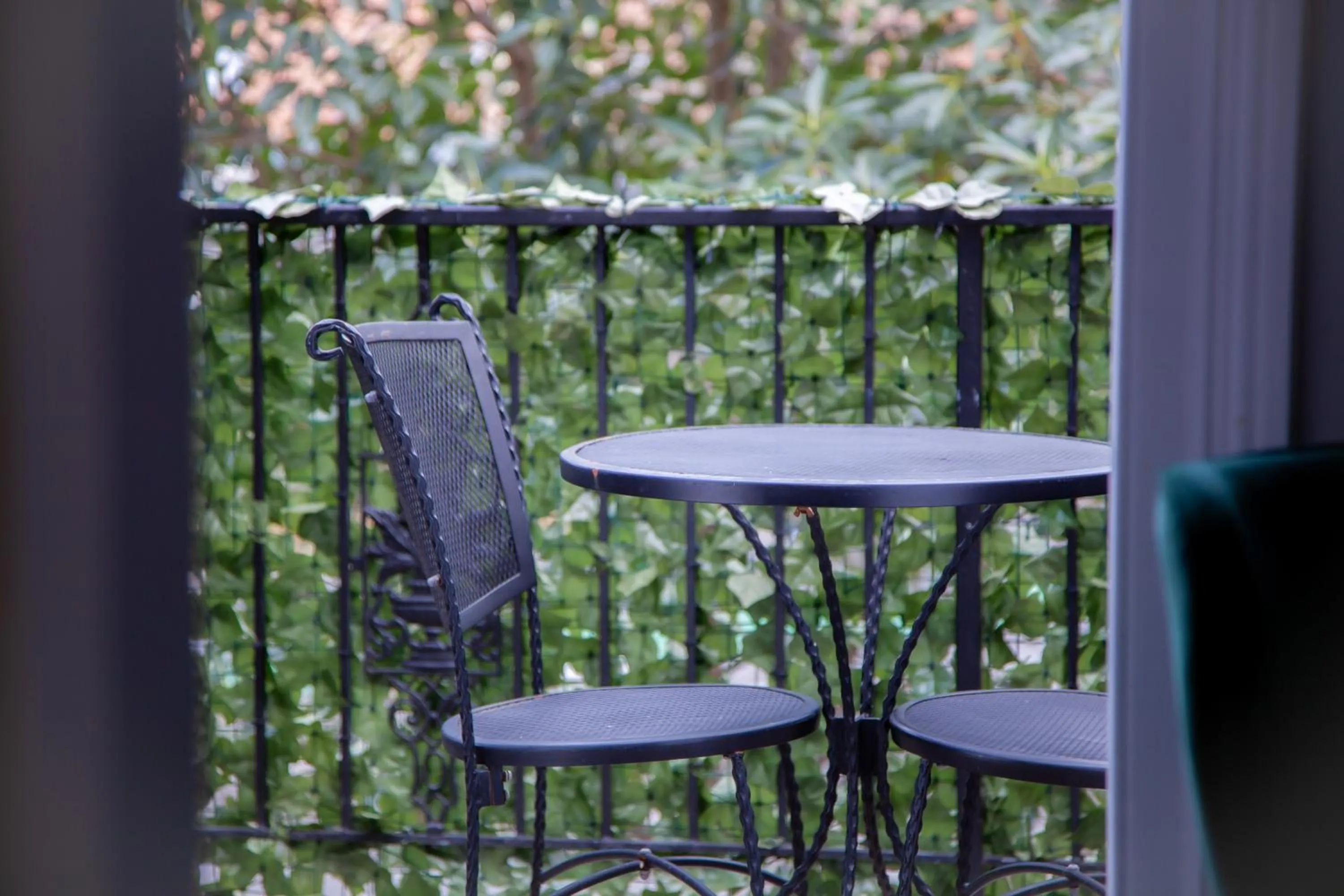 Bayswater Boutique Lodge - Potts Point