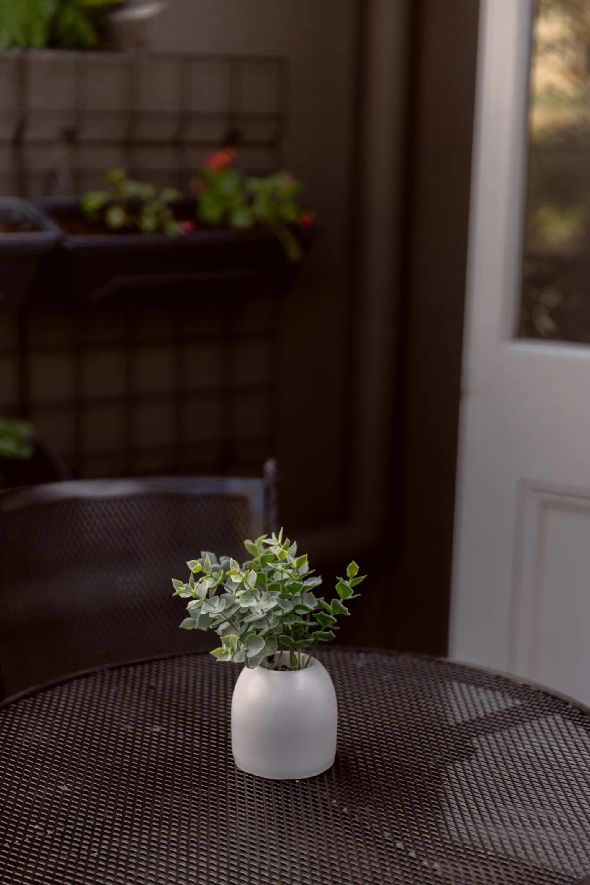 Bayswater Boutique Lodge - Potts Point