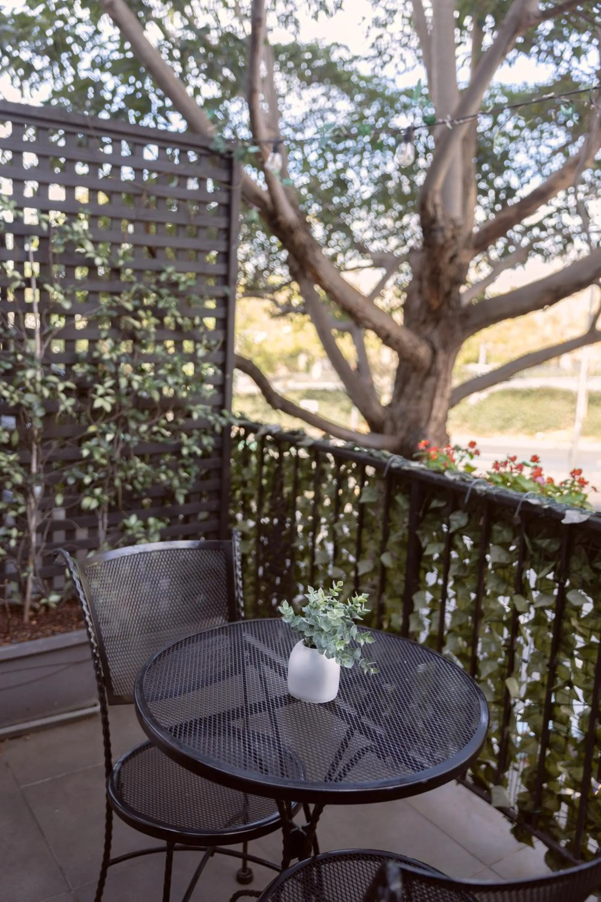 Bayswater Boutique Lodge - Potts Point