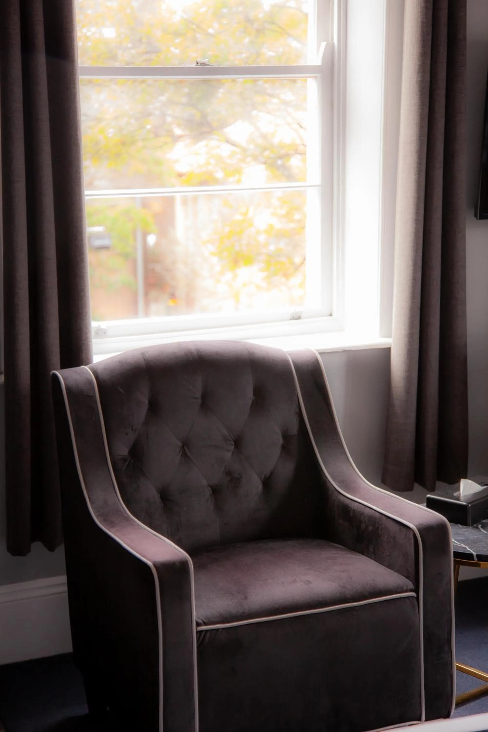 Bayswater Boutique Lodge - Potts Point