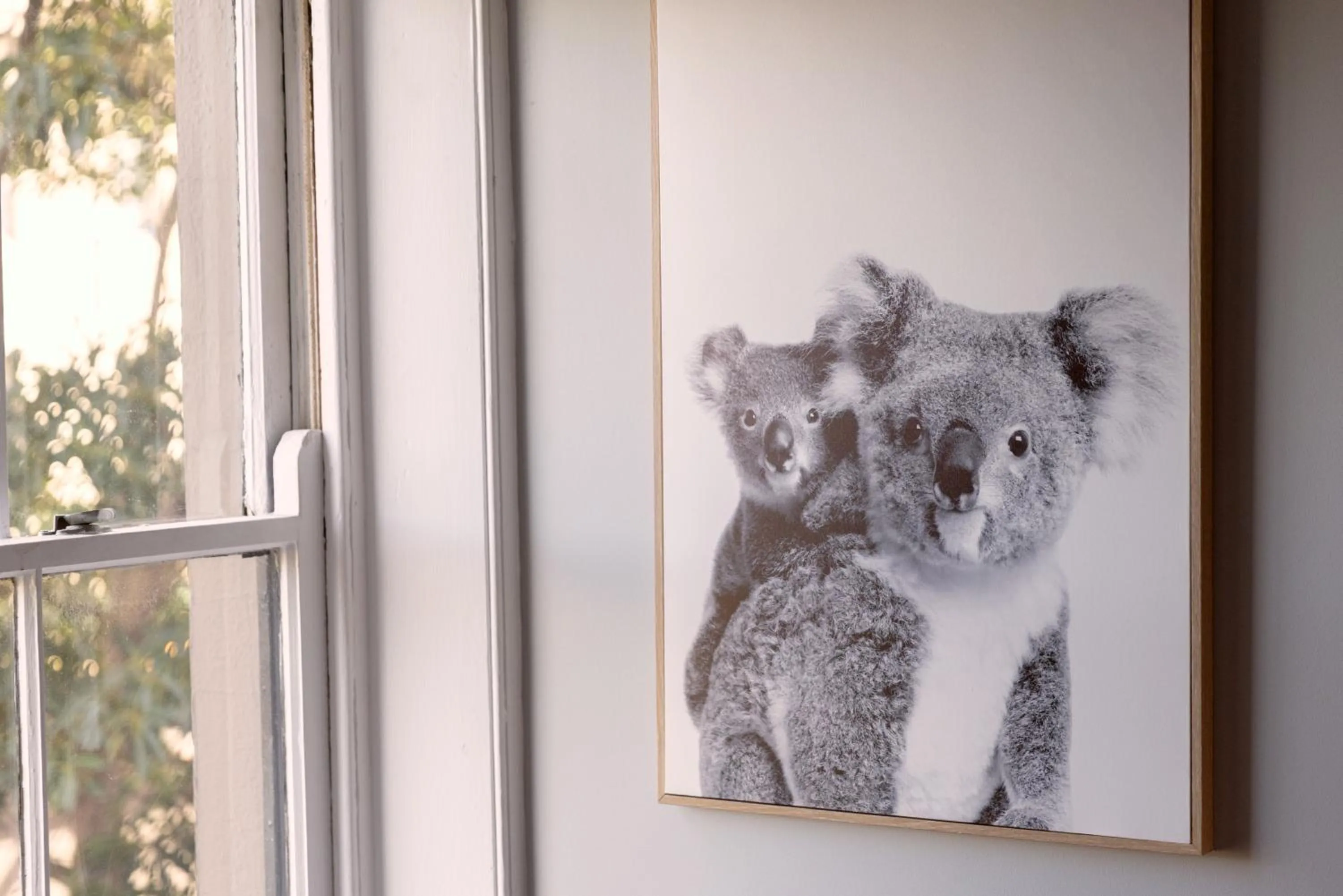 Bayswater Boutique Lodge - Potts Point