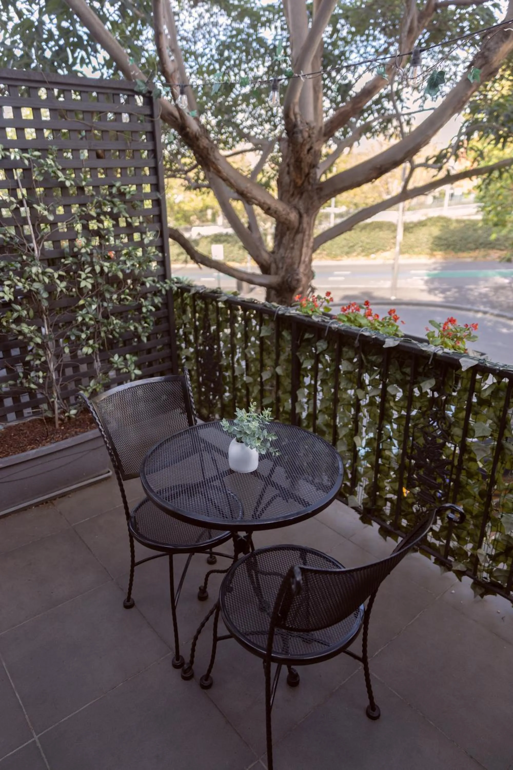 Bayswater Boutique Lodge - Potts Point