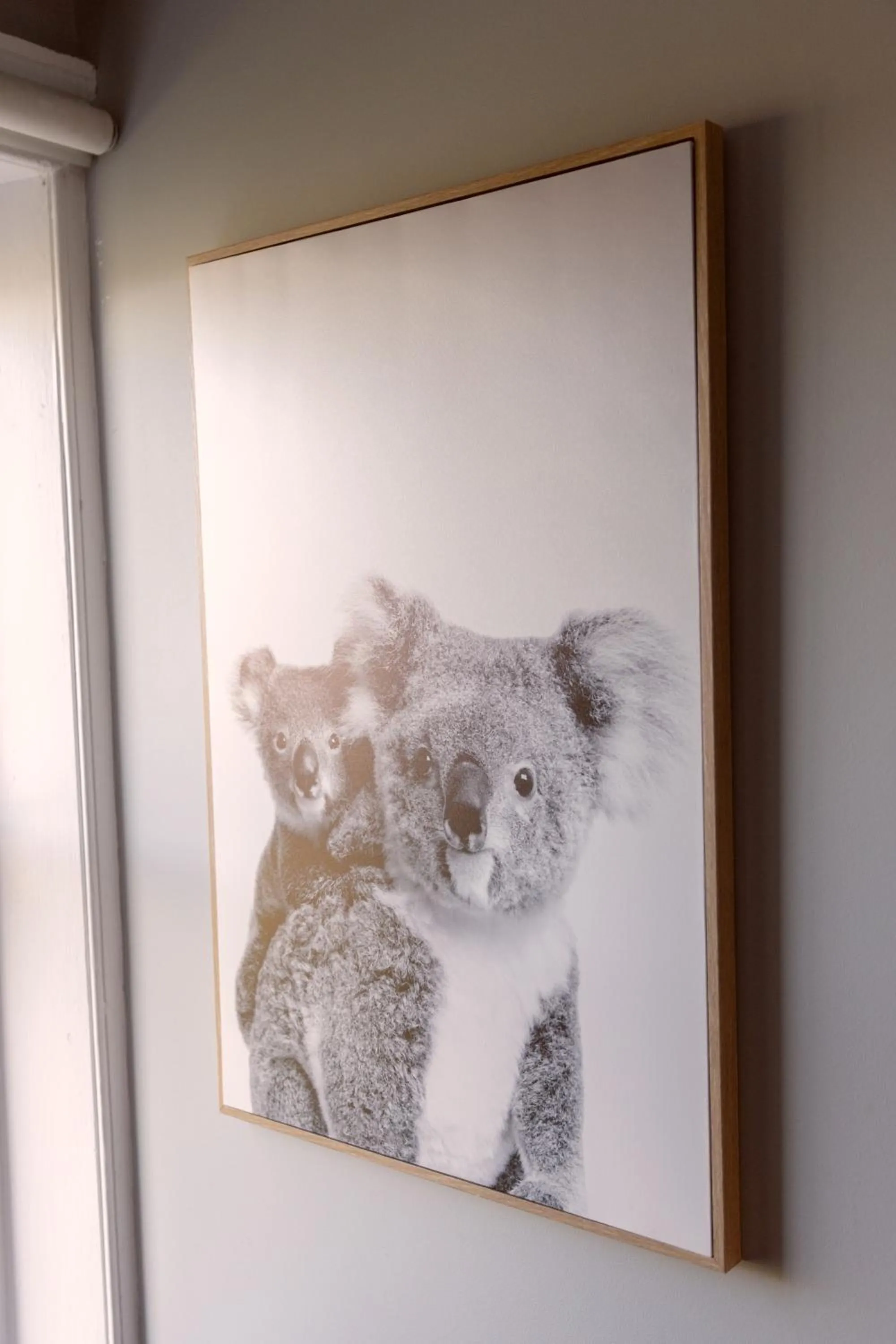 Bayswater Boutique Lodge - Potts Point