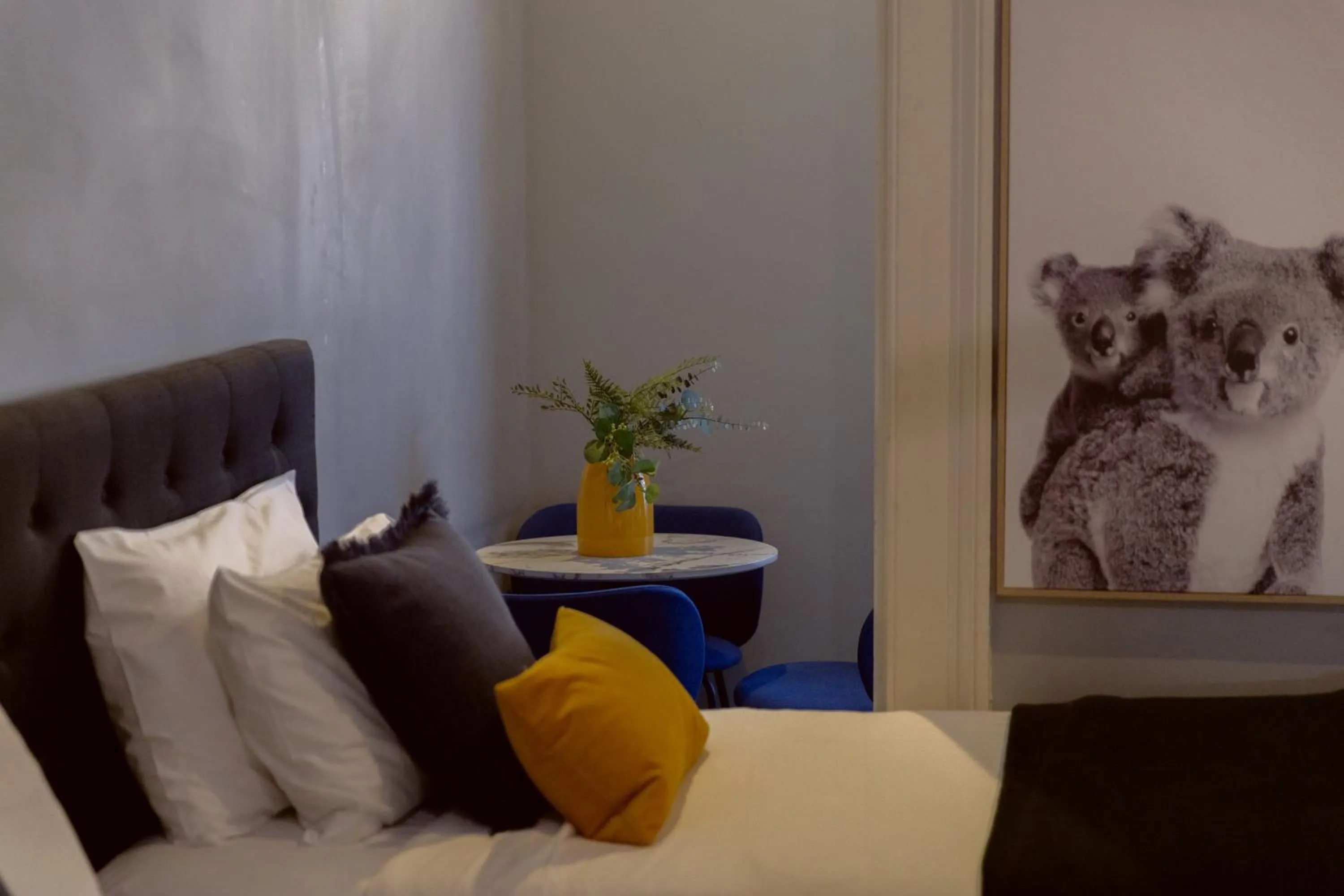 Bed in Bayswater Boutique Lodge - Potts Point