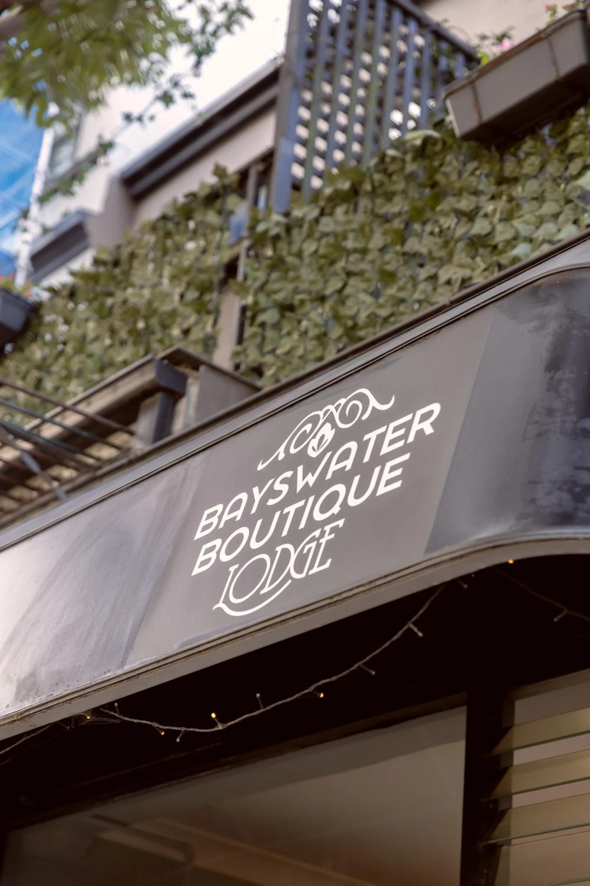 Bayswater Boutique Lodge - Potts Point