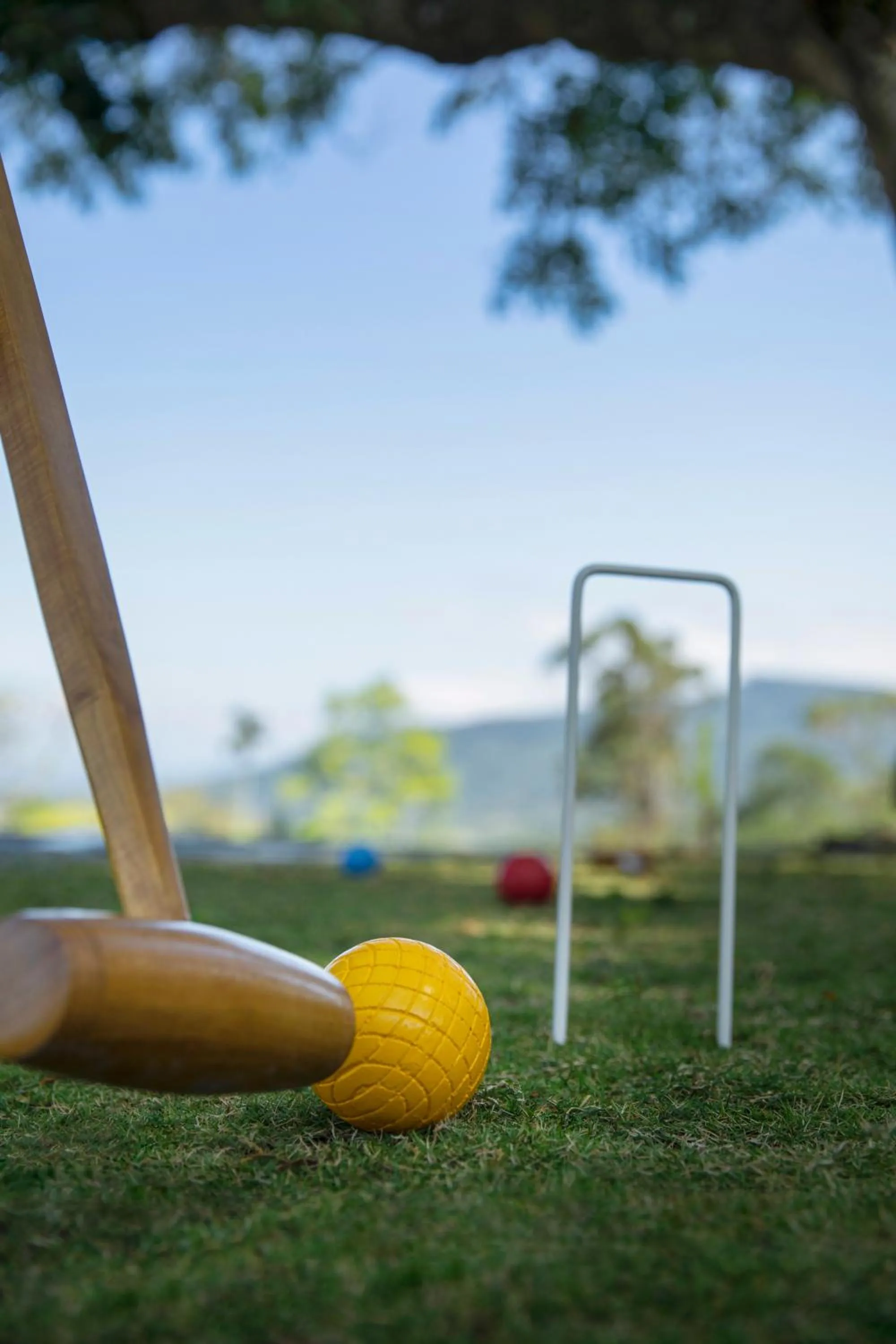 Activities in W15 Hanthana Estate Kandy