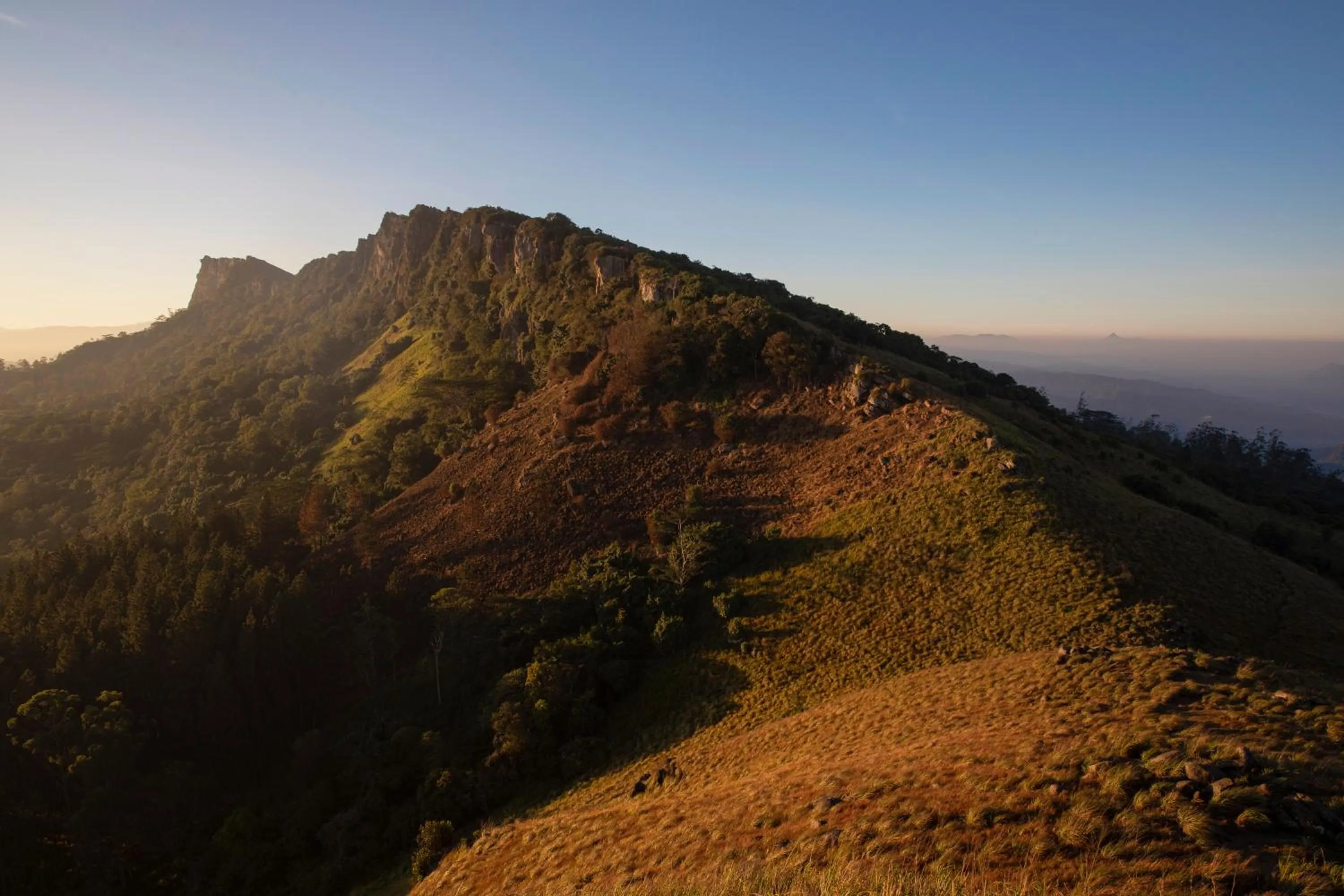 Hiking in W15 Hanthana Estate Kandy