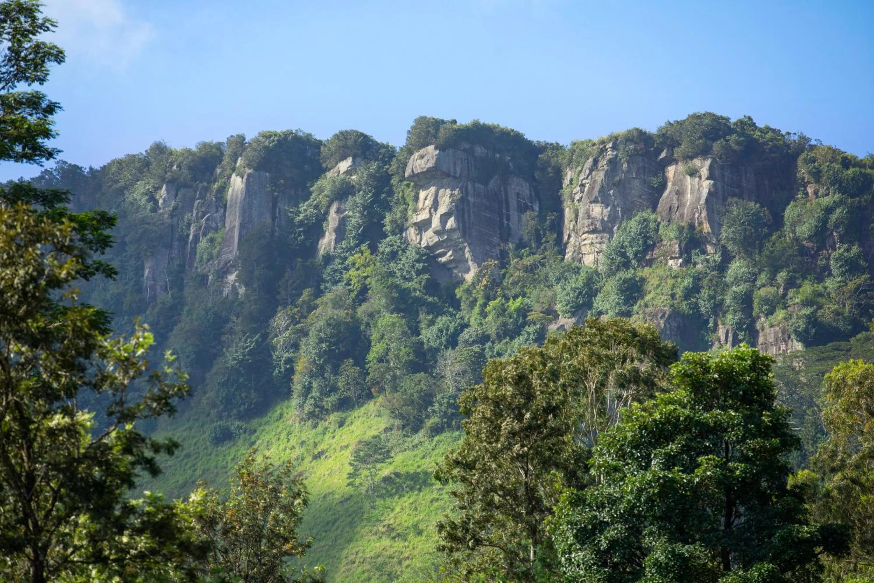 Natural landscape in W15 Hanthana Estate Kandy