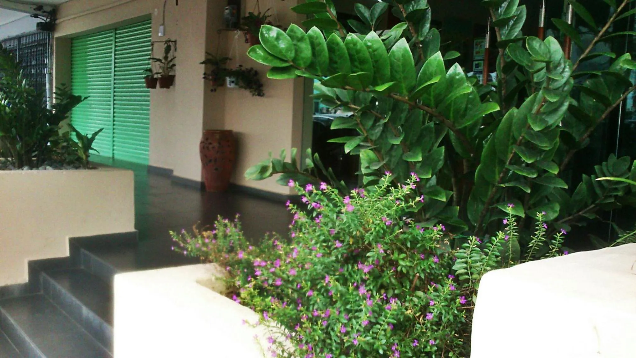 The Fern Lodge Hotel