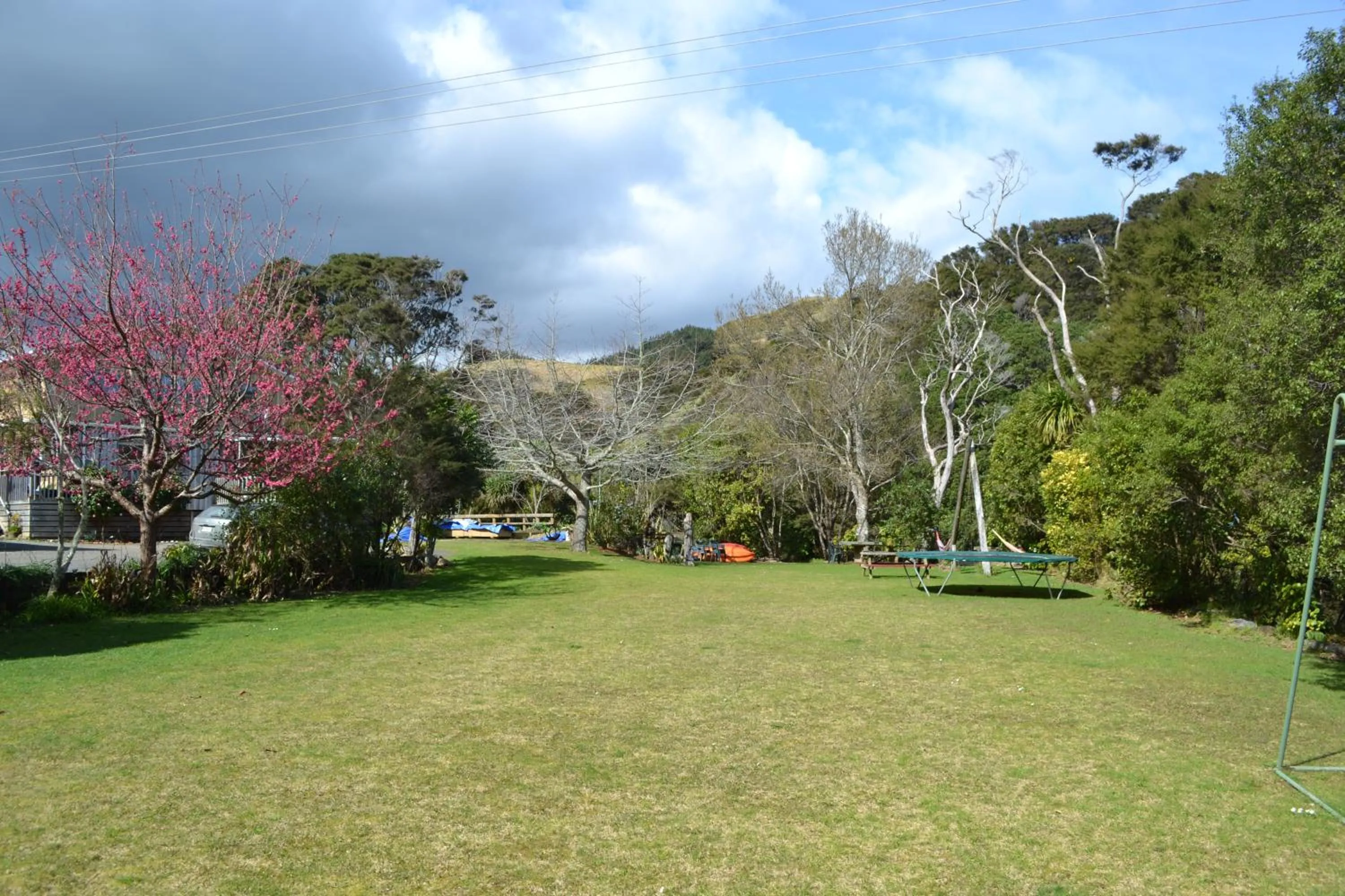 Garden in Te Mata Lodge