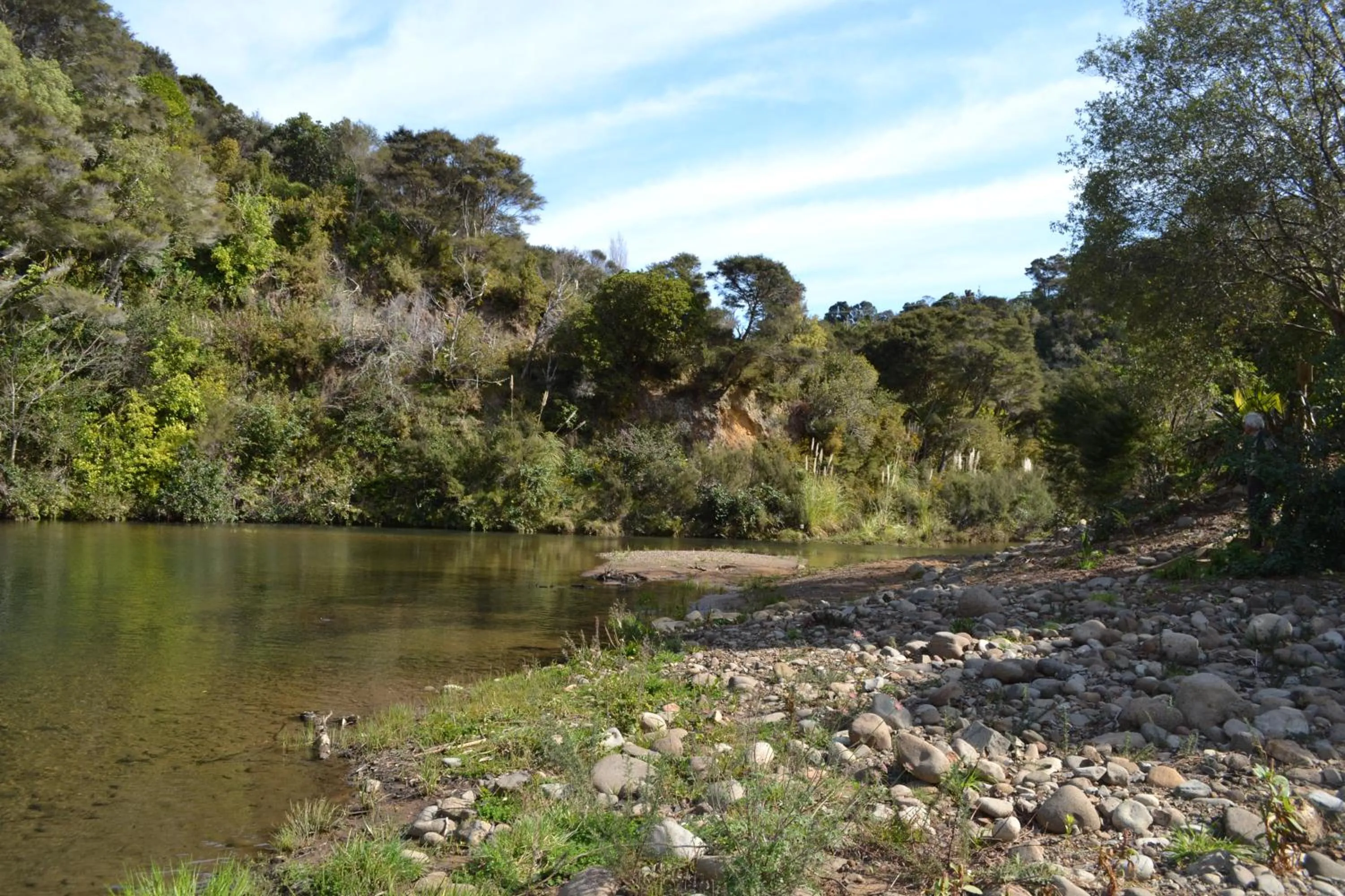 Natural landscape in Te Mata Lodge