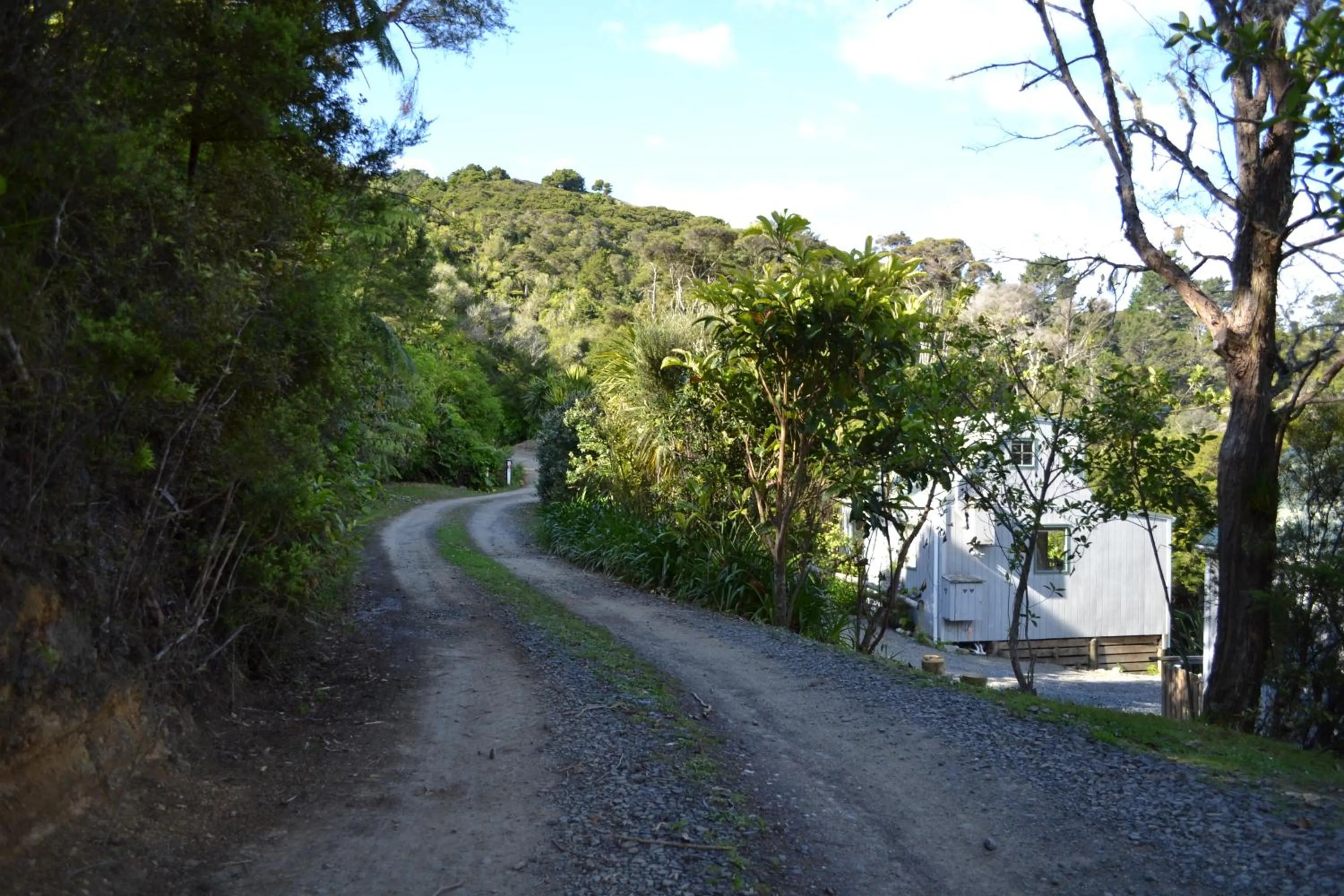 Natural landscape in Te Mata Lodge