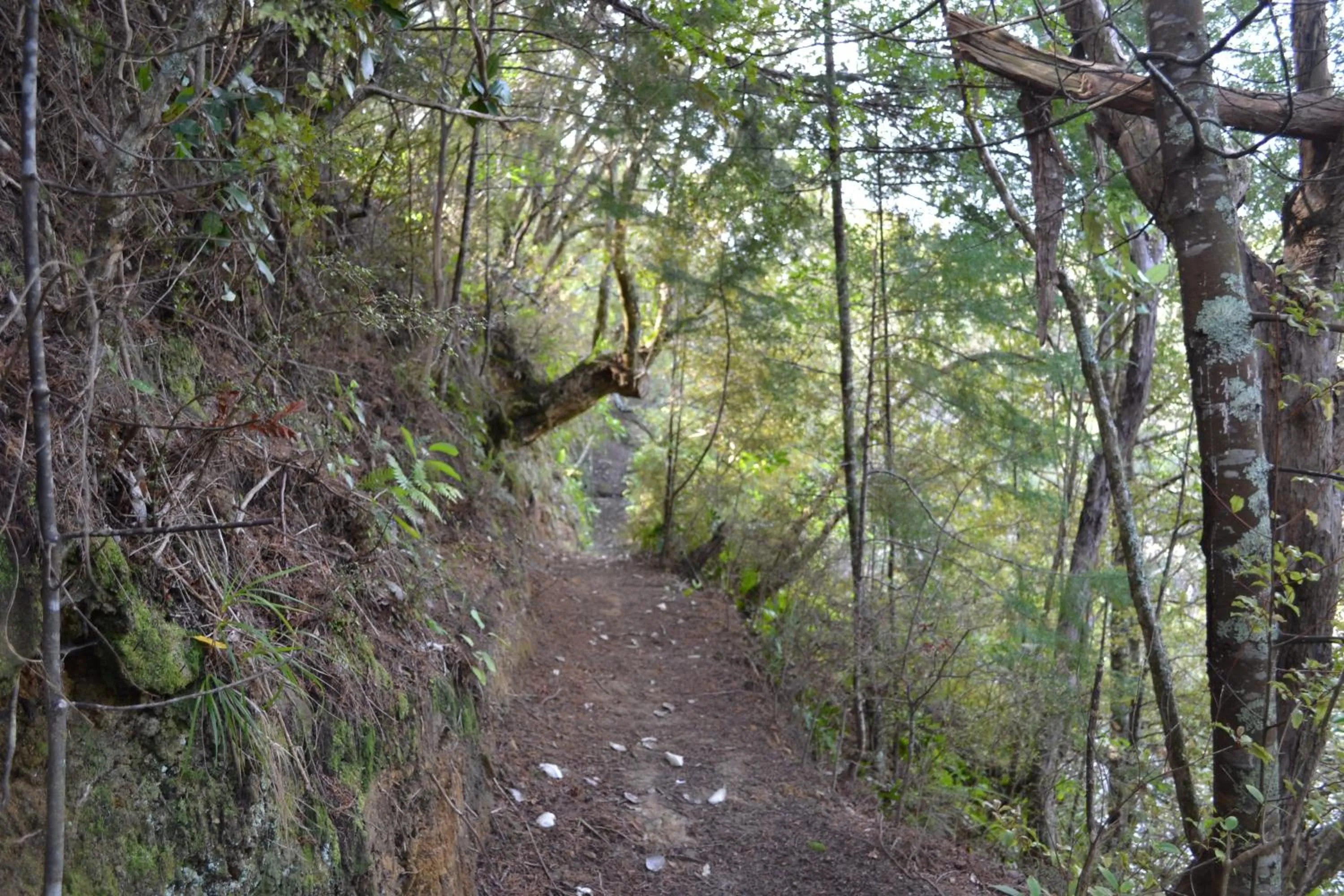 Natural landscape in Te Mata Lodge