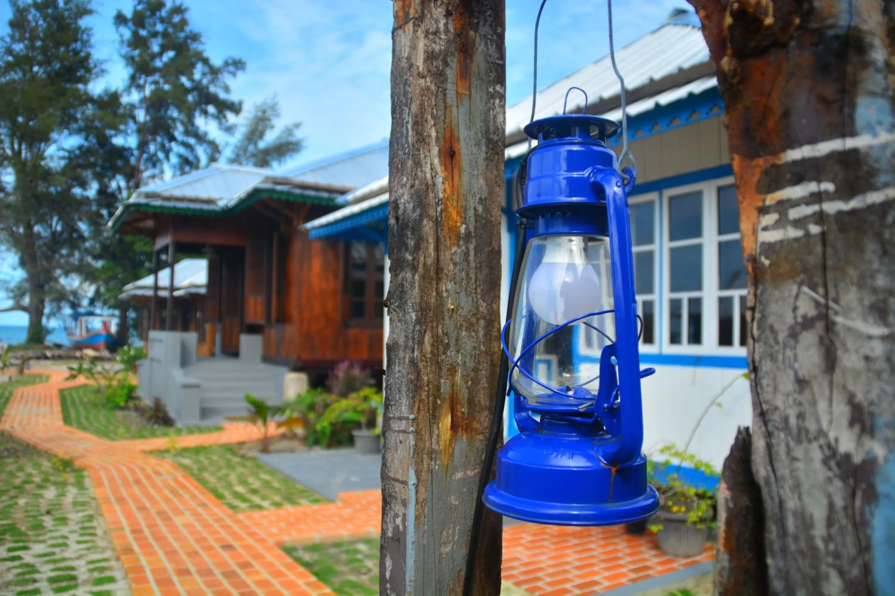 Garden in Rock and Wreck Dive Resort