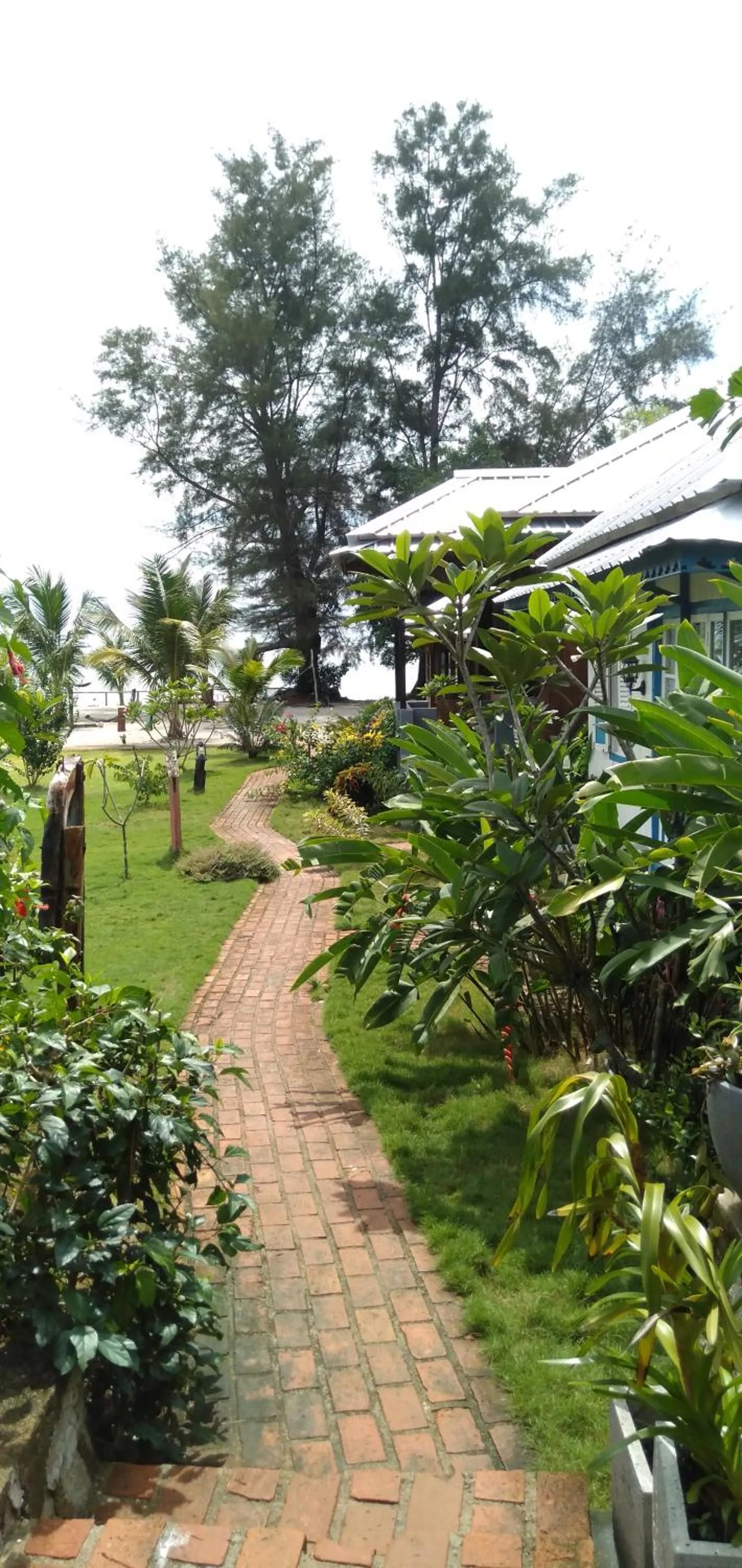 Patio in Rock and Wreck Dive Resort