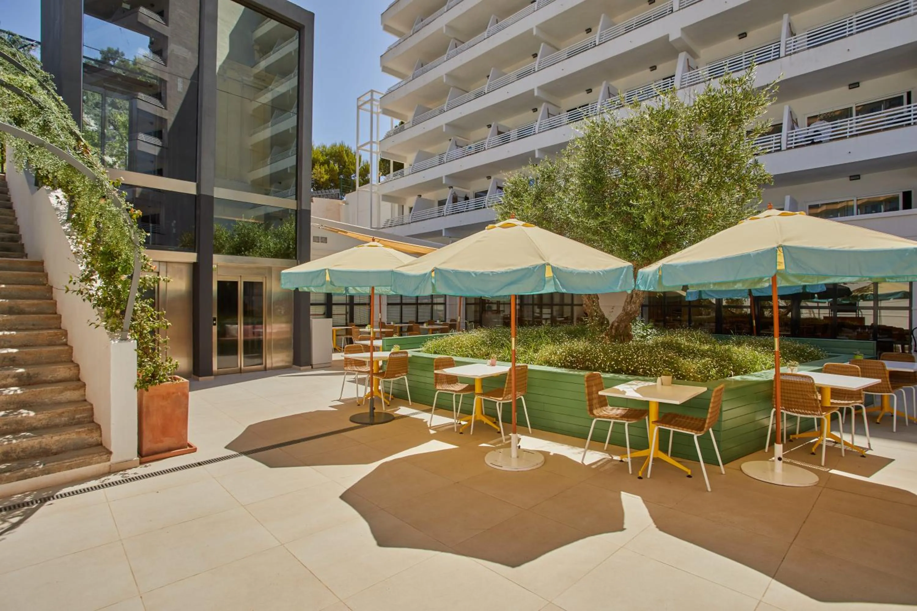 Restaurant/places to eat in Alua Calvia