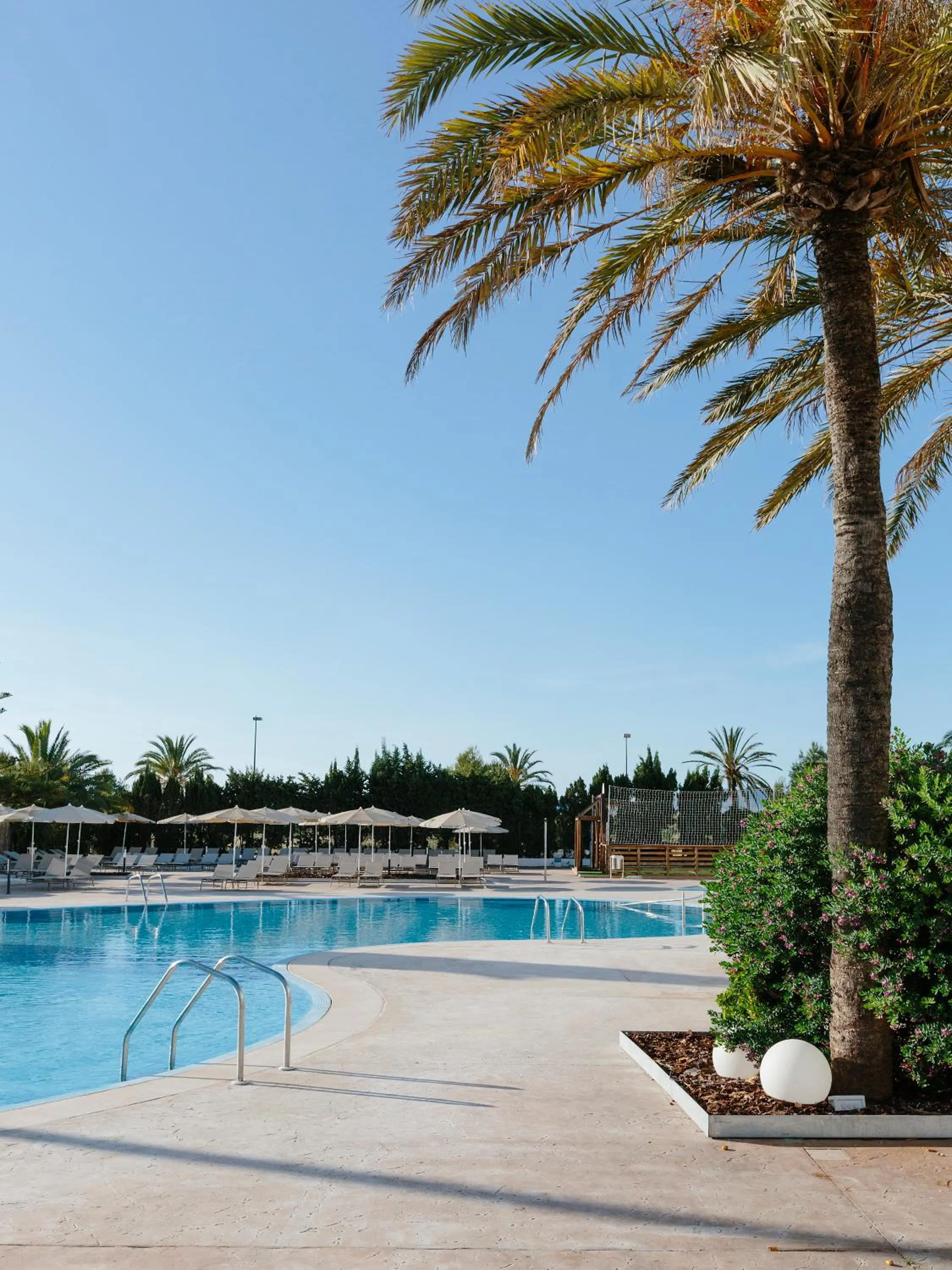 Swimming pool in Bordoy Alcudia Bay - Adults Only