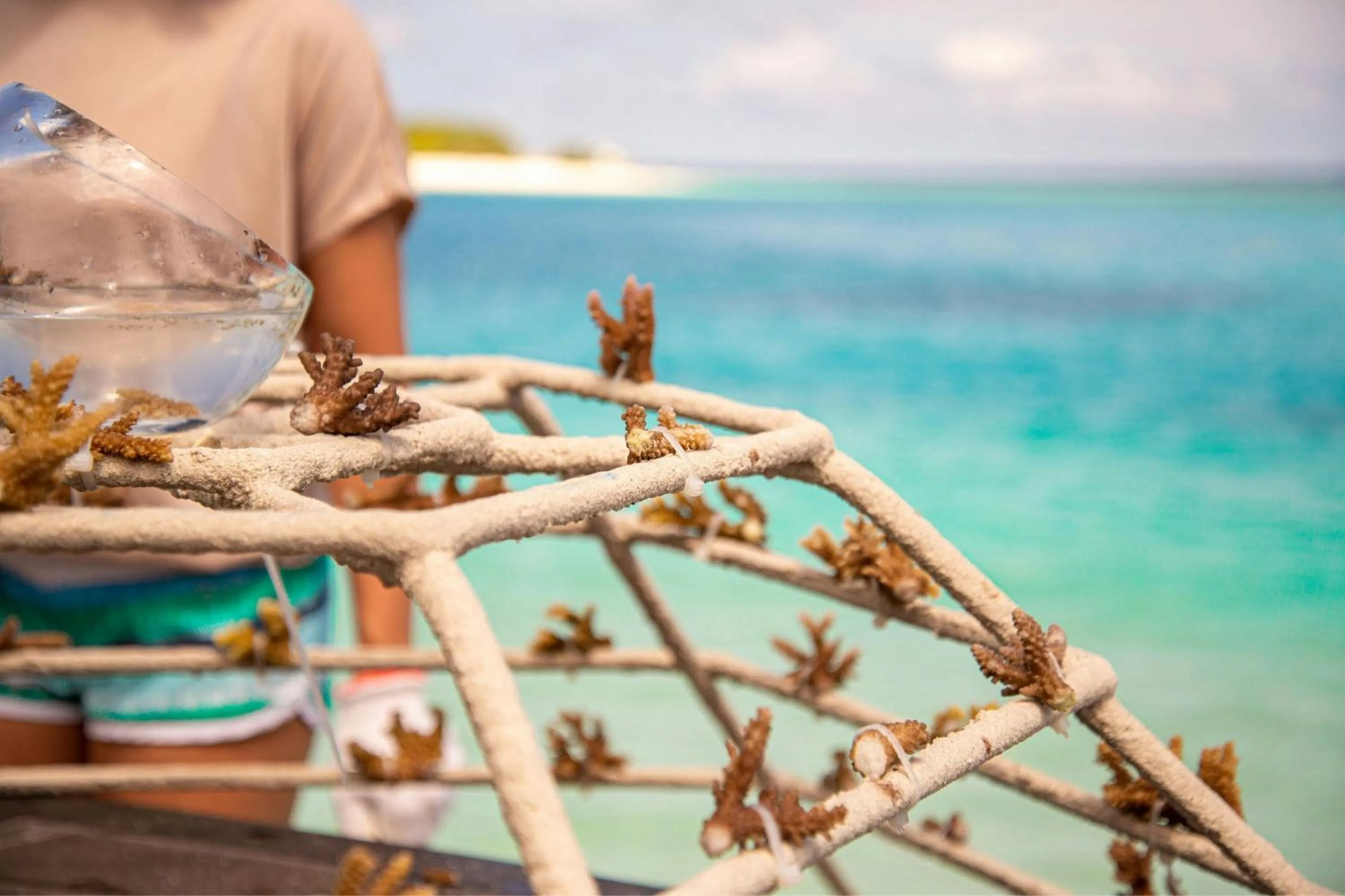 Other in Sheraton Maldives Full Moon Resort & Spa