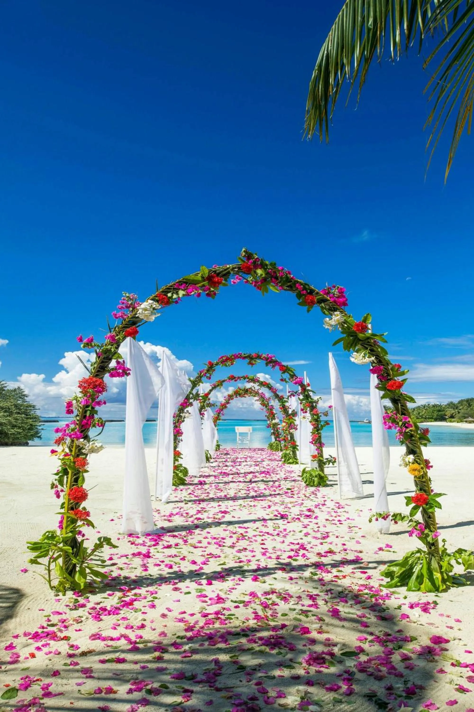 Beach in Sheraton Maldives Full Moon Resort & Spa