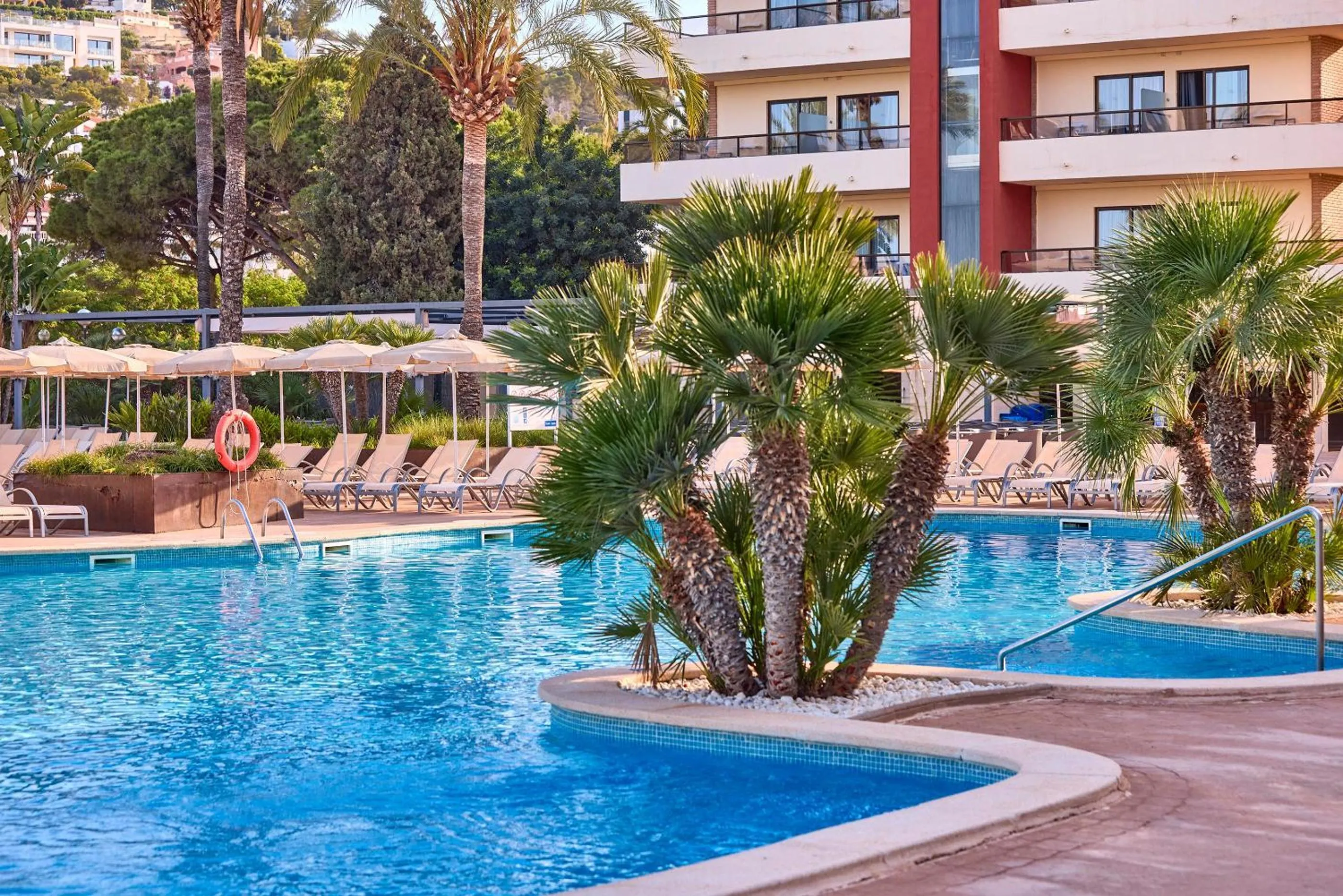 Swimming pool in Zafiro Rey Don Jaime