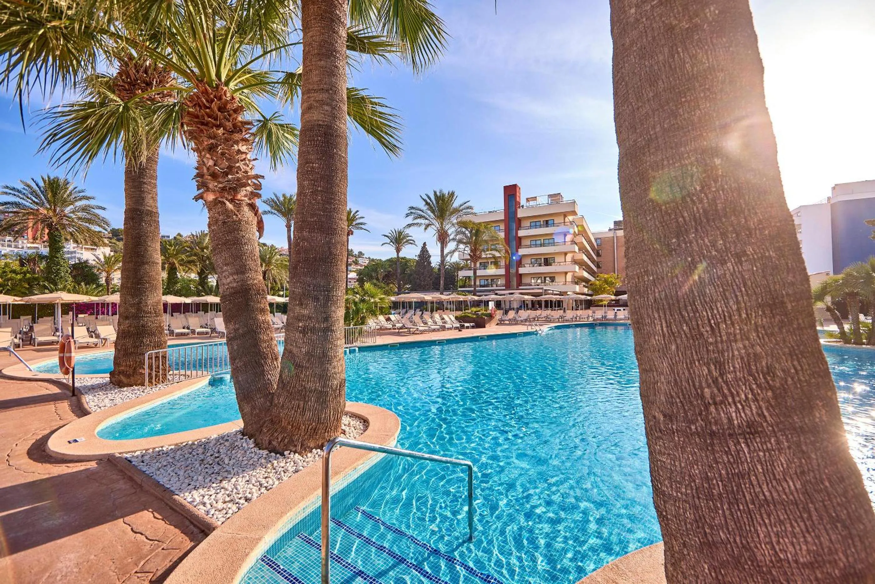 Swimming pool in Zafiro Rey Don Jaime