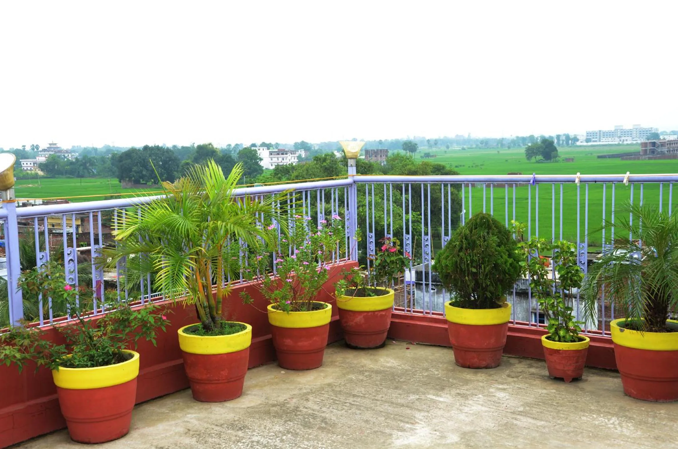 Garden view in Kundanbazar Guest House