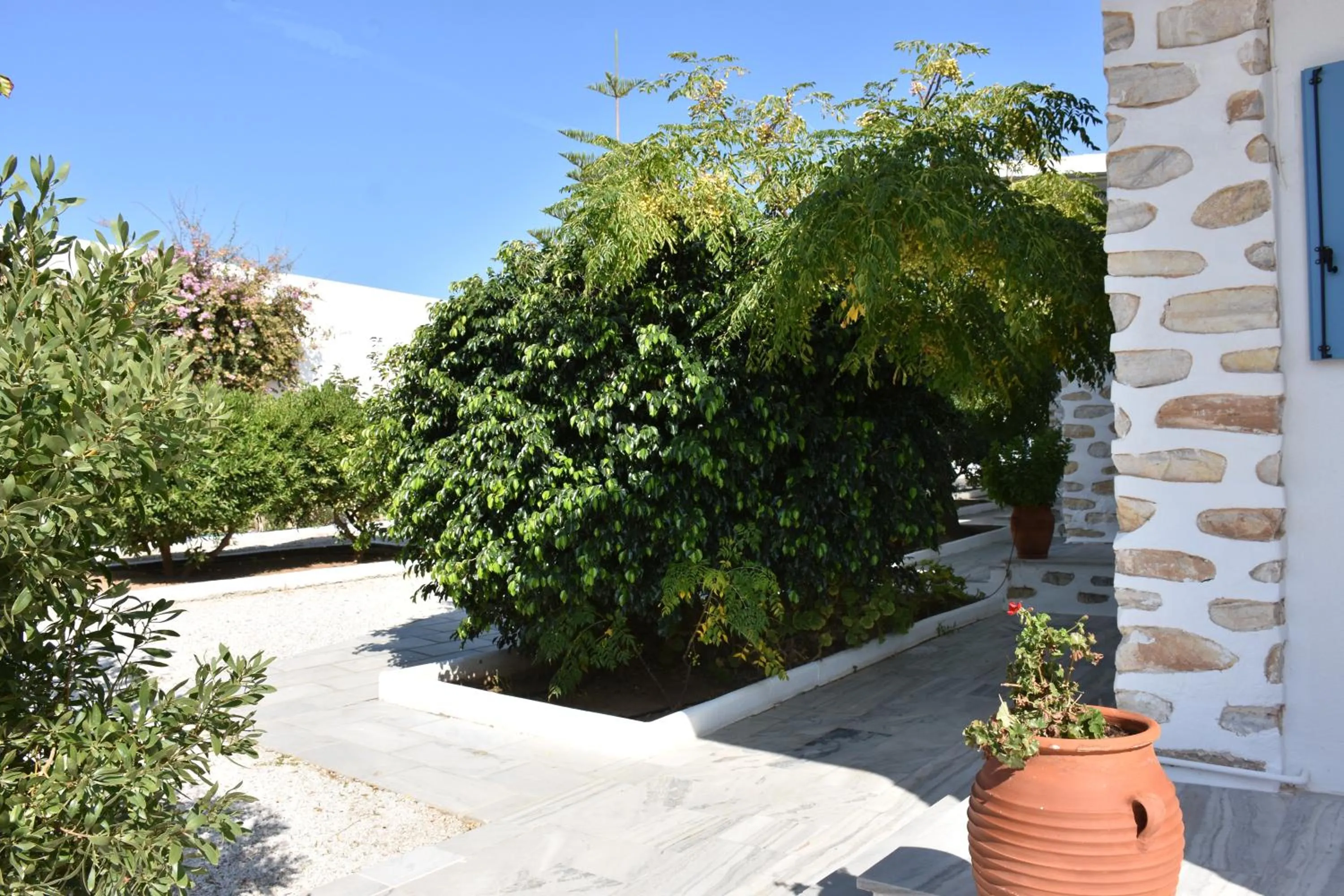 Garden in Bungalows Marina