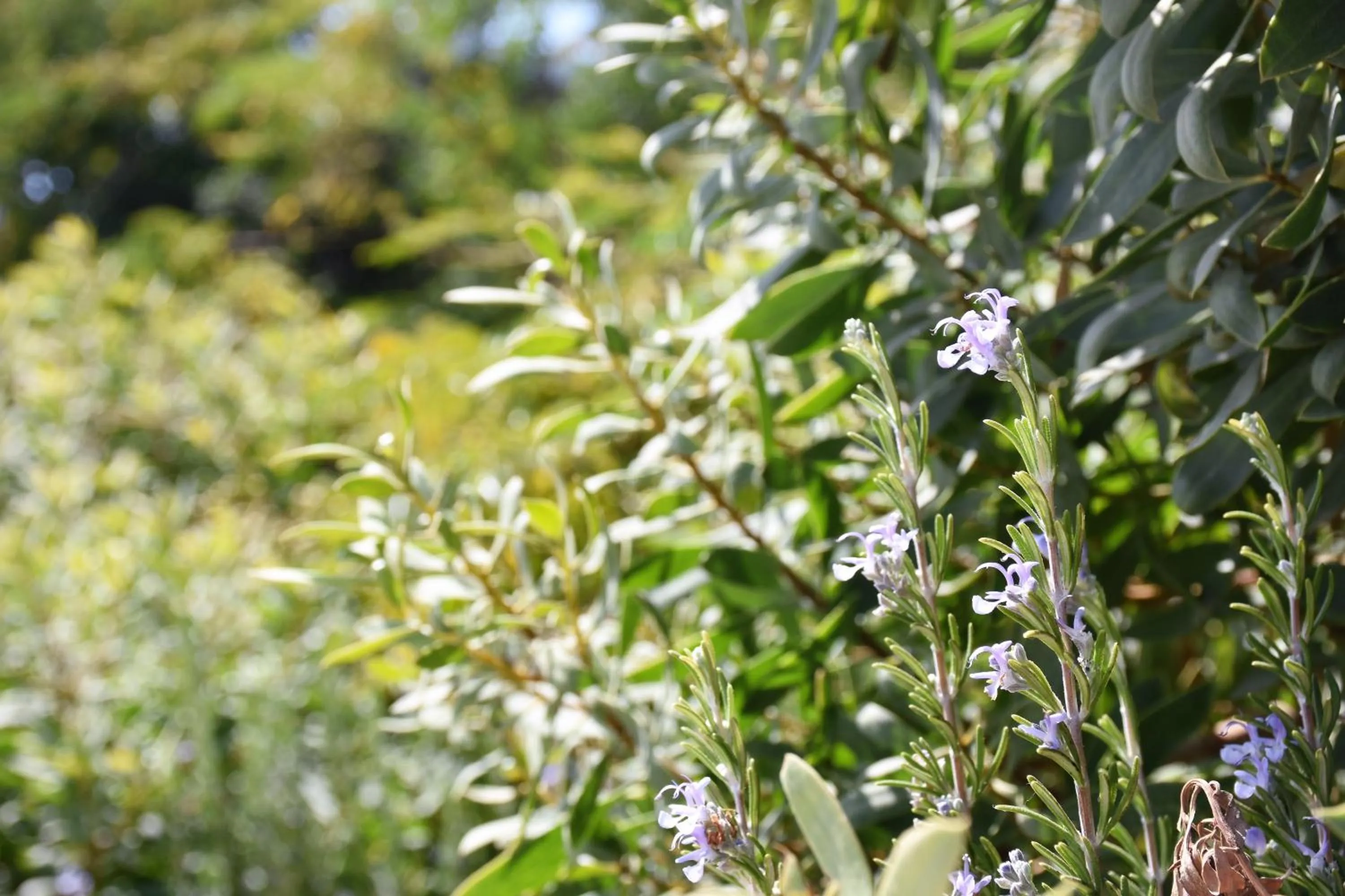 Decorative detail in Bungalows Marina