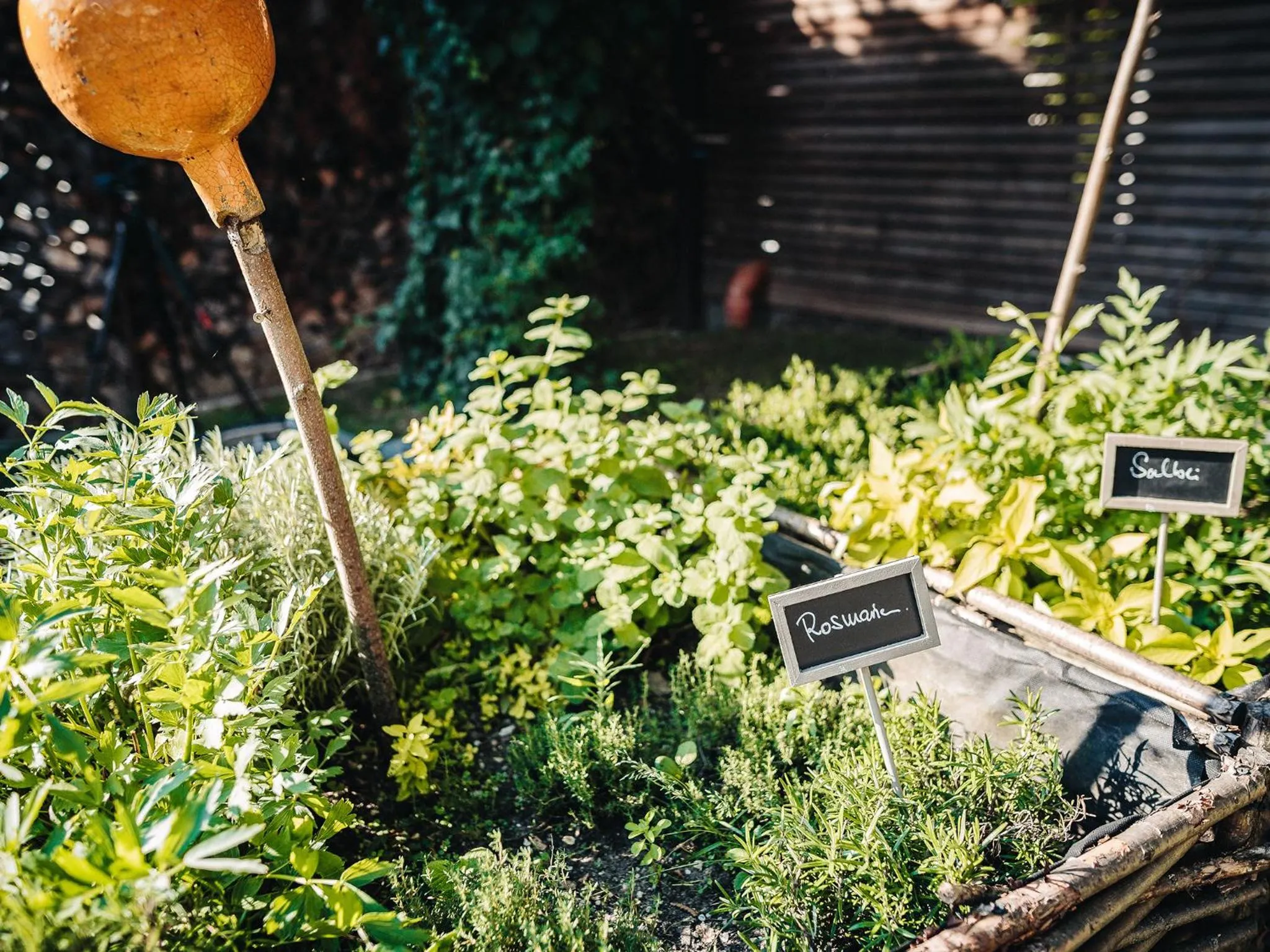 Food and drinks in Wellness & Thermal Retreat Das Mühlbach