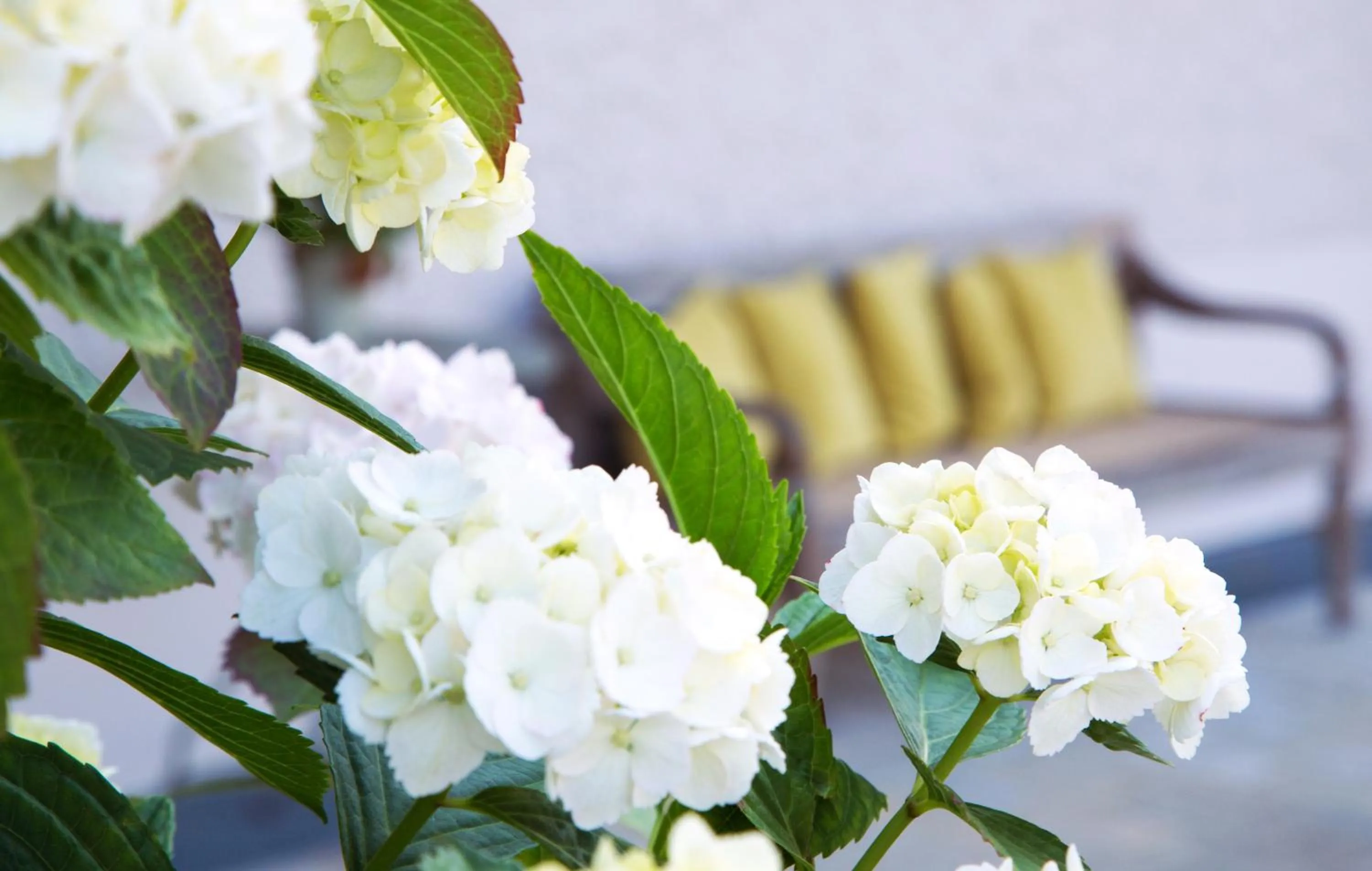 Decorative detail in Wellness & Thermal Retreat Das Mühlbach