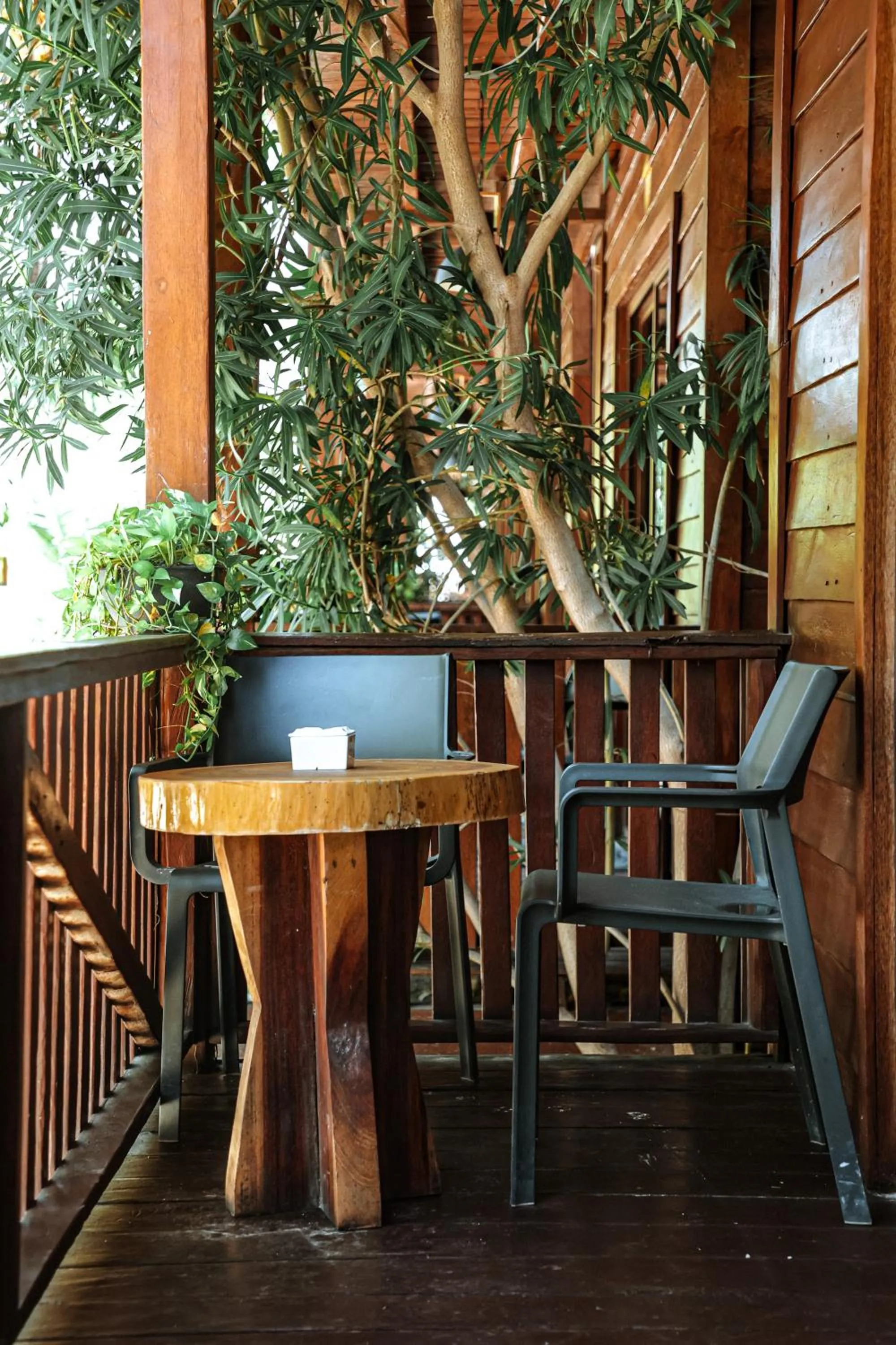 Balcony/Terrace in Coconut by ÓOL Hotels