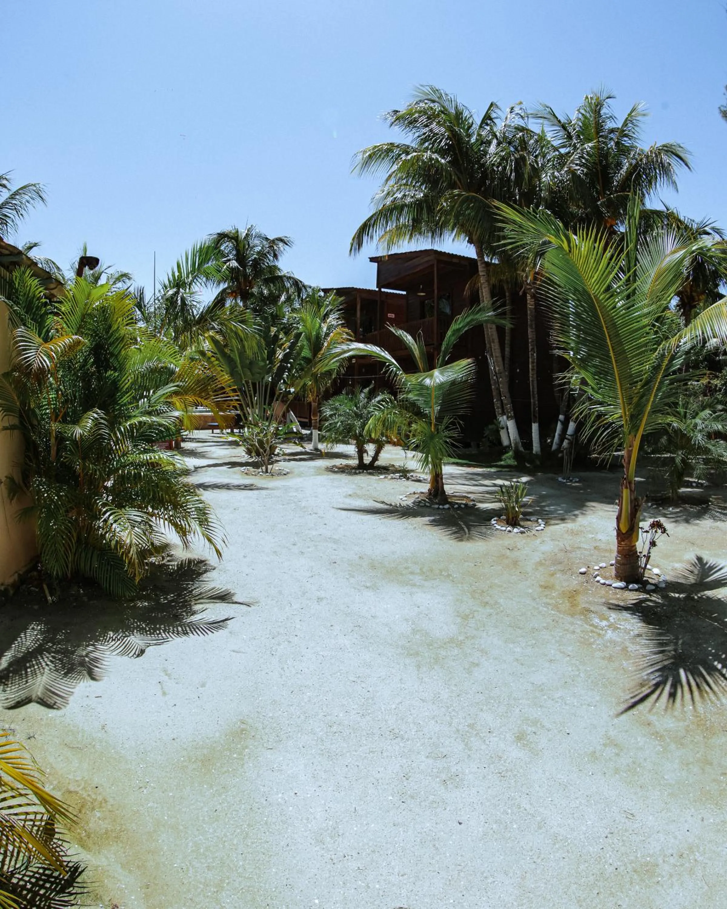 Facade/entrance in Coconut by ÓOL Hotels