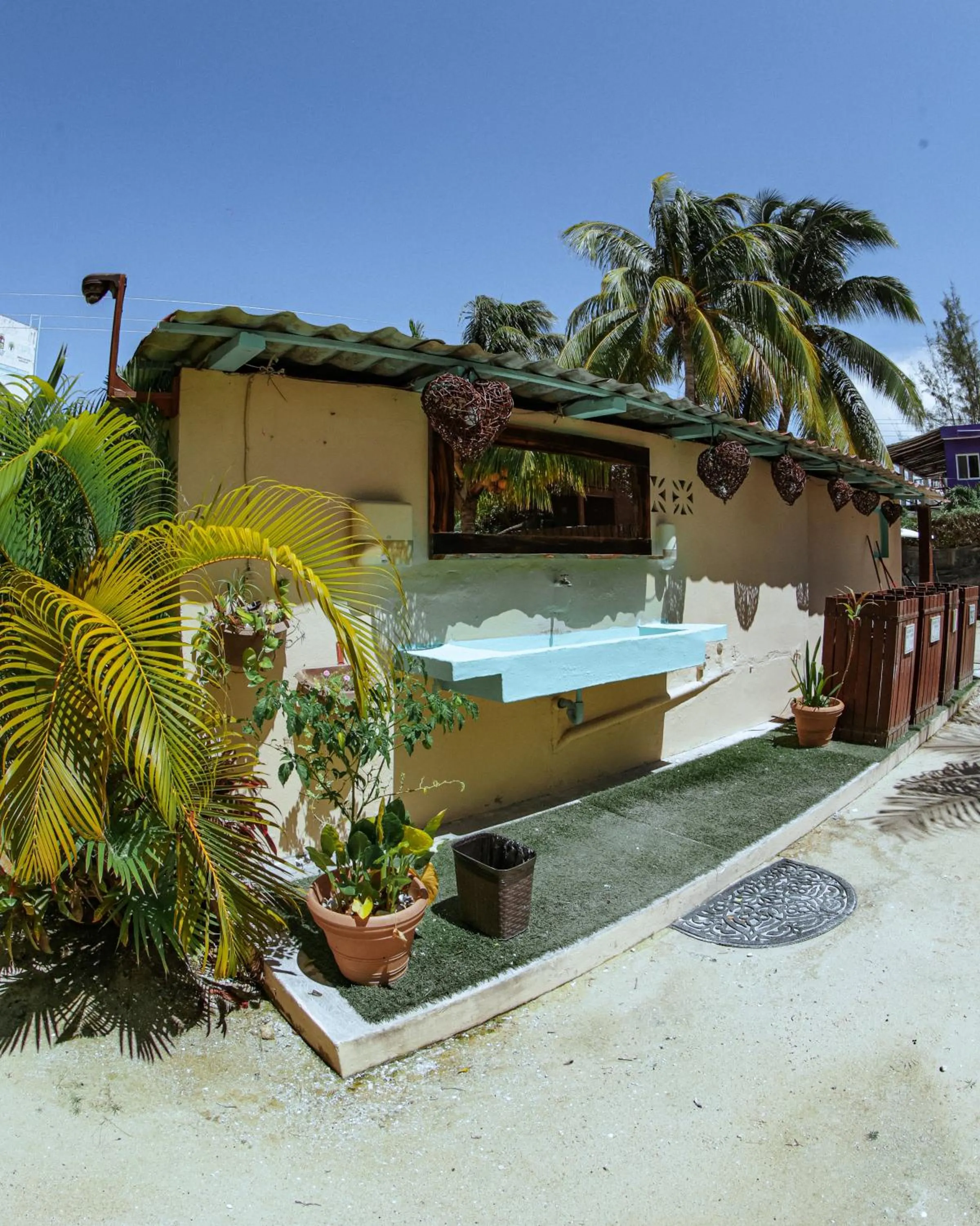 Garden in Coconut by ÓOL Hotels