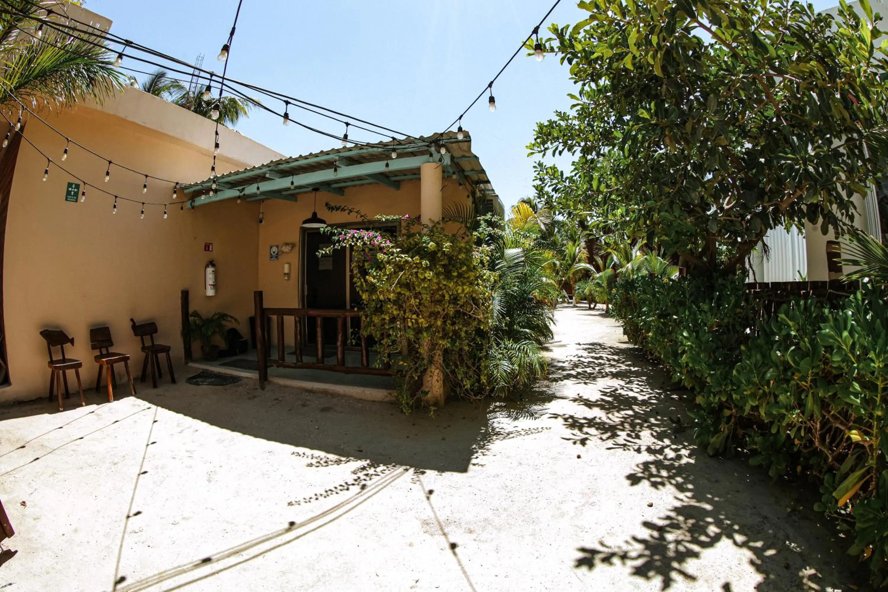 Property building in Coconut by ÓOL Hotels