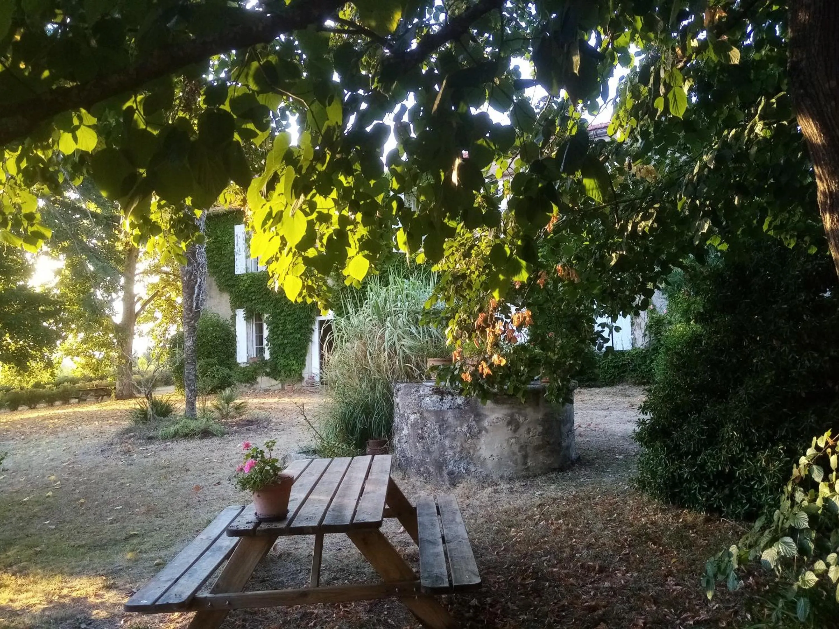 Other in Chambres d'Hôtes Domaine du Bouchon