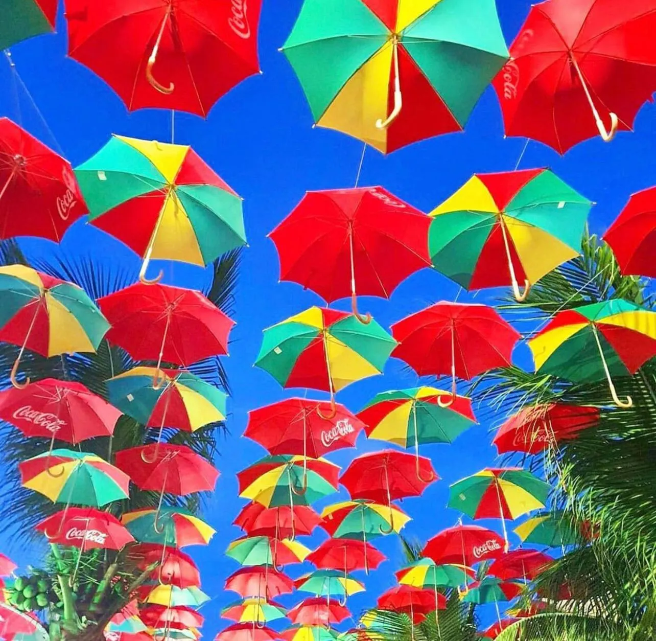Spring in Pousada Flor de Maraca