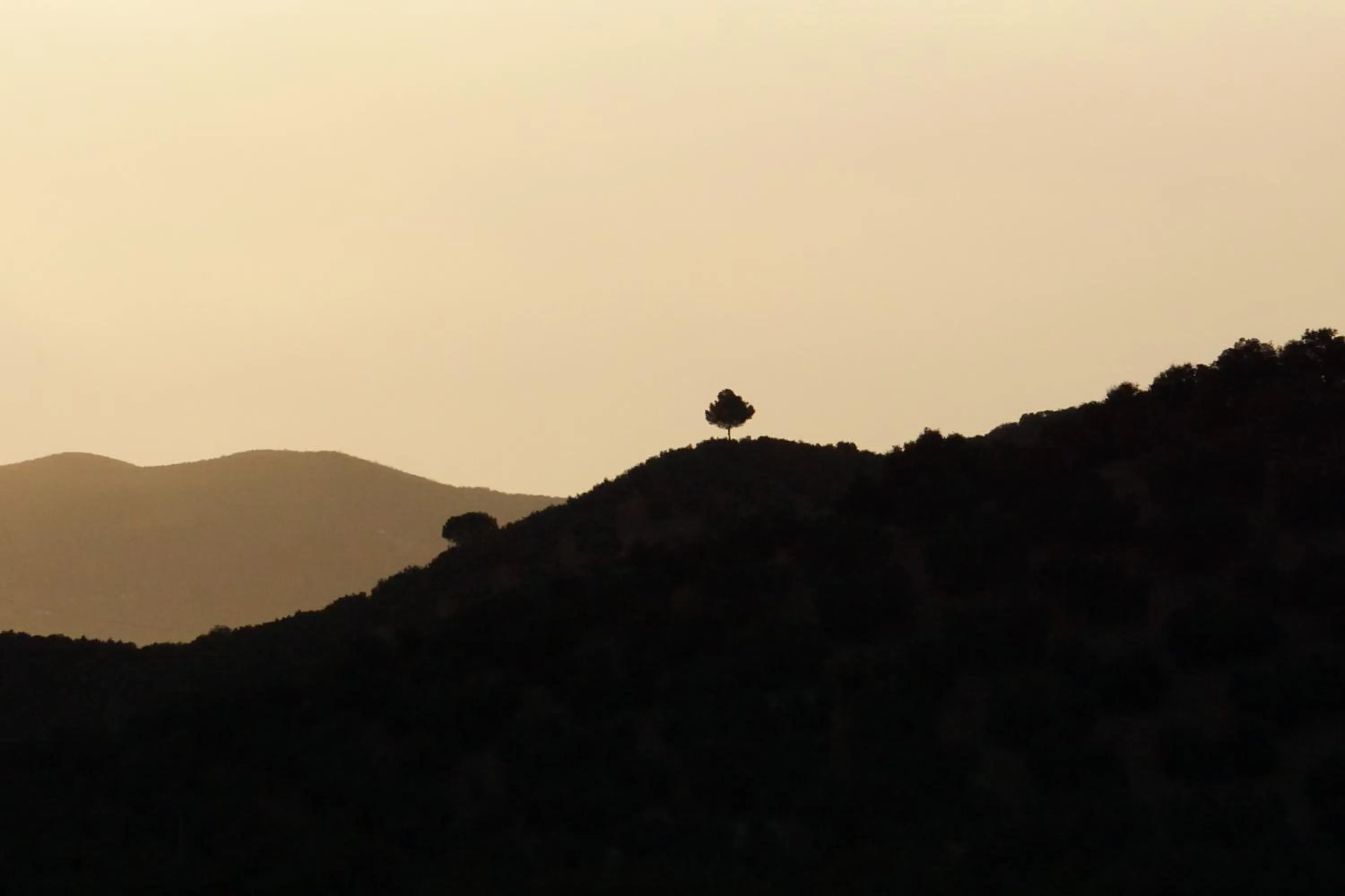 Mountain view in Casa Pura Vida