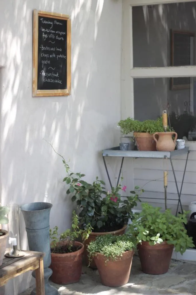 Balcony/Terrace in Casa Pura Vida