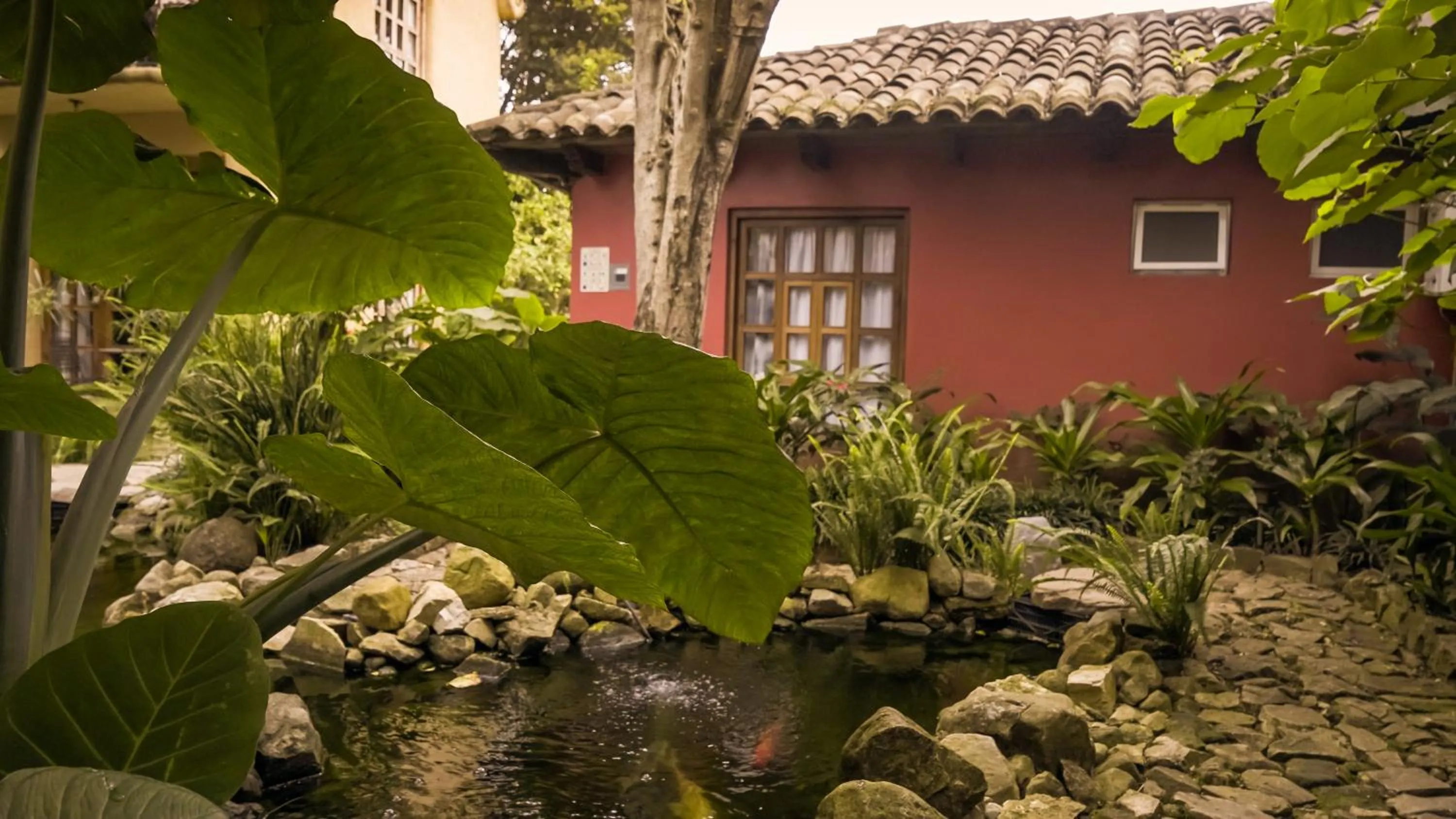 Property building in Guayaba Inn Boutique Hotel