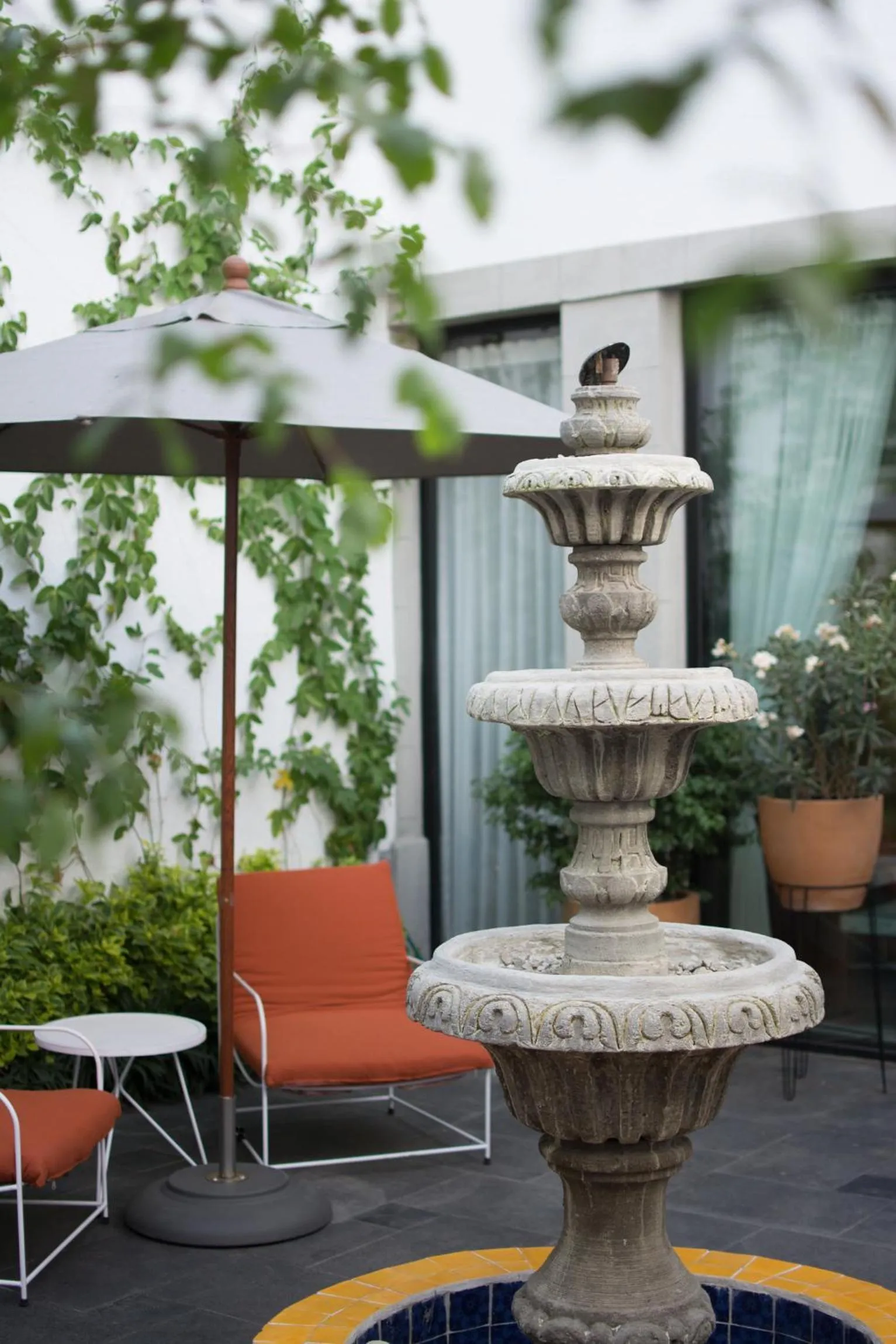 Patio in Hotel Casona Independencia