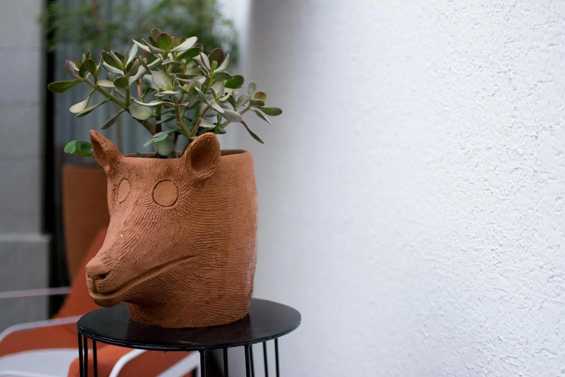 Patio in Hotel Casona Independencia