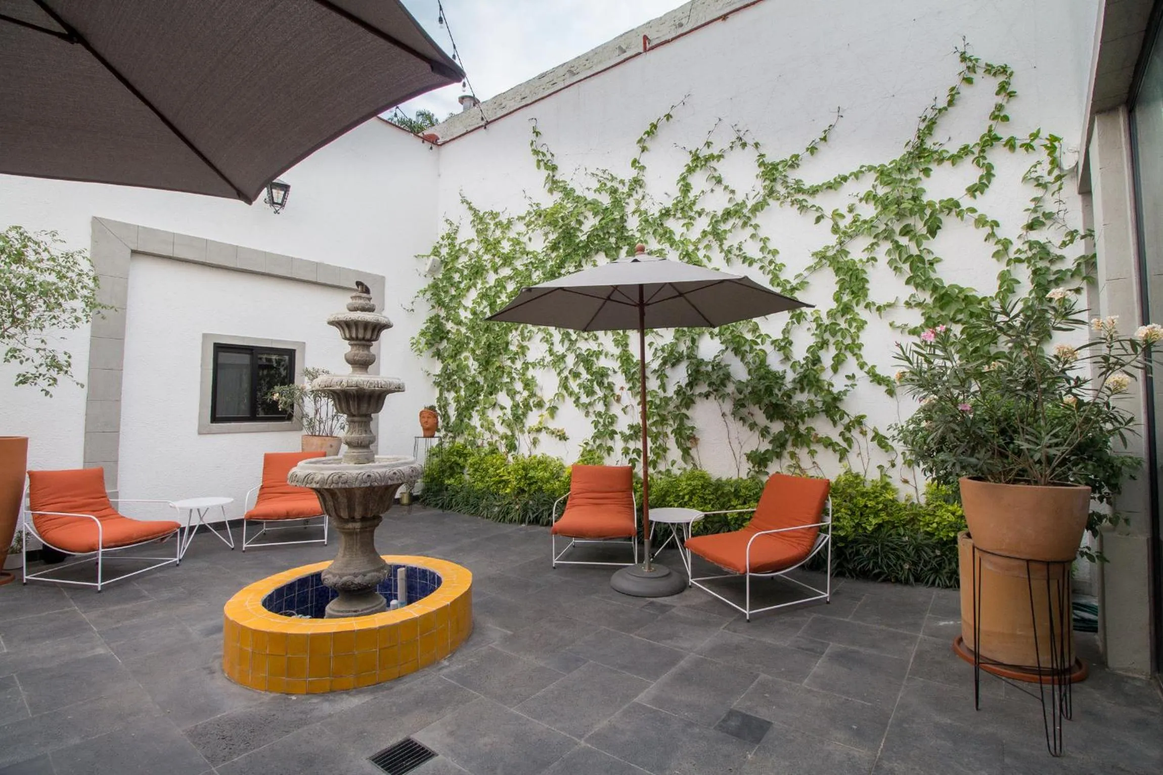 Patio in Hotel Casona Independencia