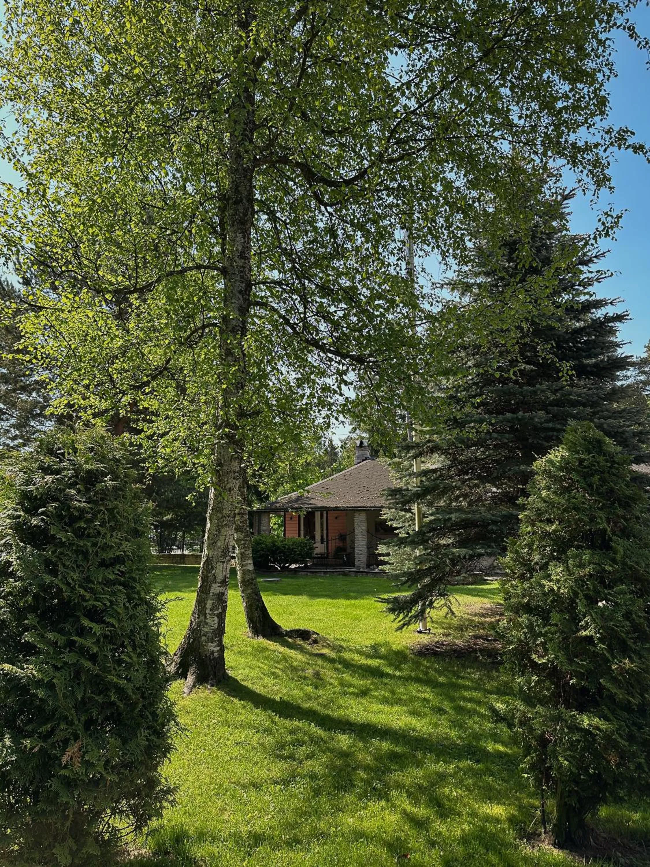 Garden in Pansionaat Valentina