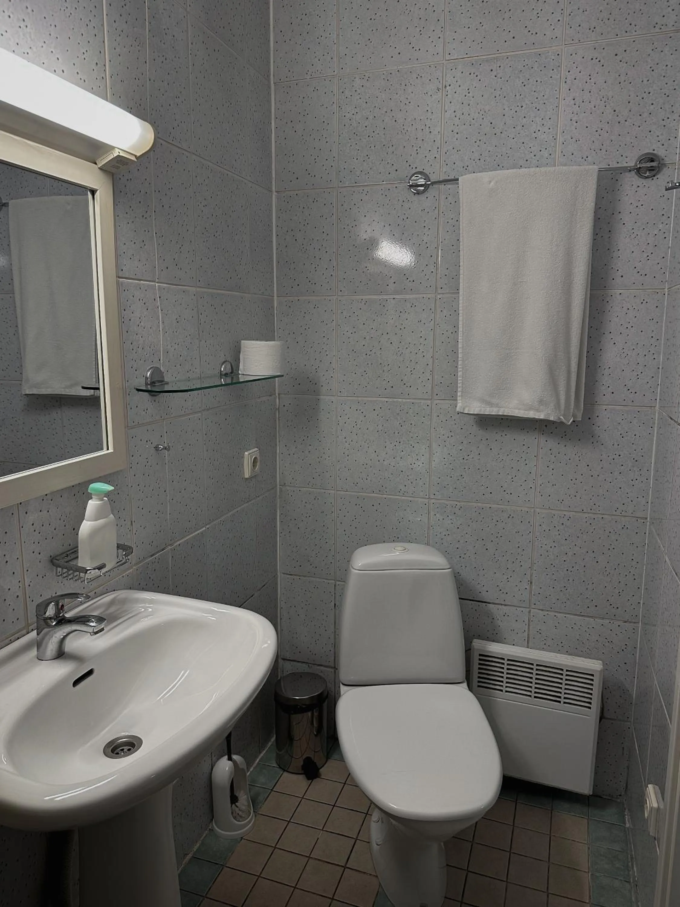 Toilet in Pansionaat Valentina