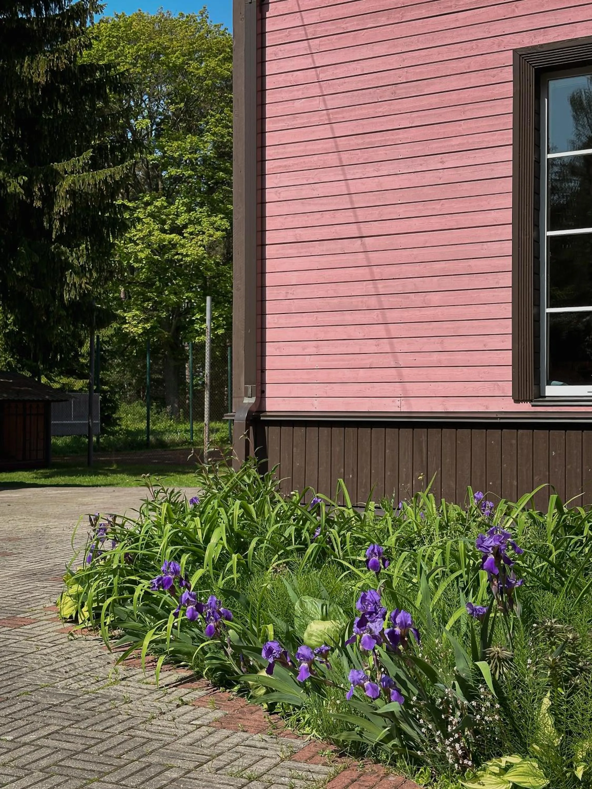 Garden in Pansionaat Valentina