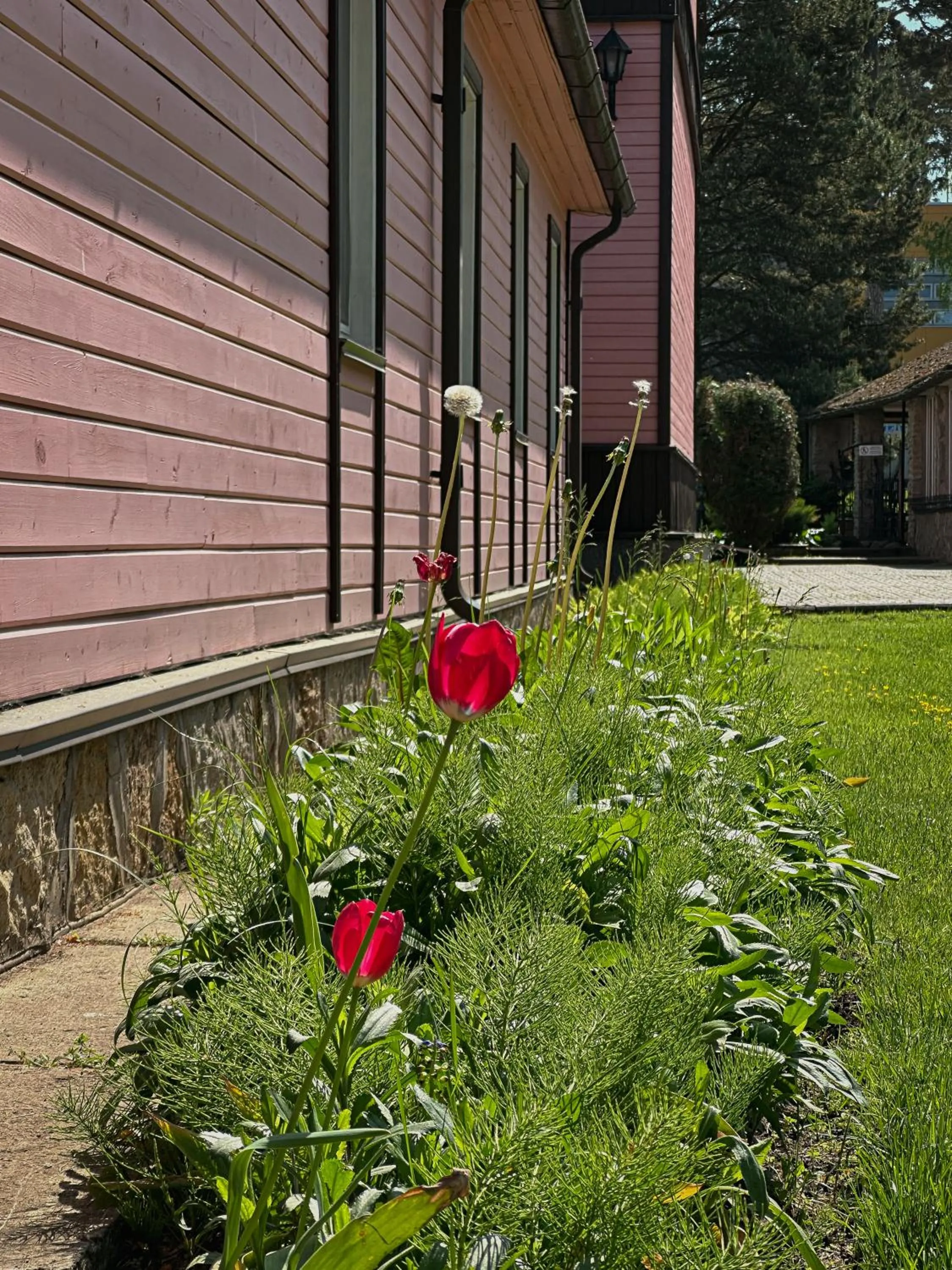 Garden in Pansionaat Valentina